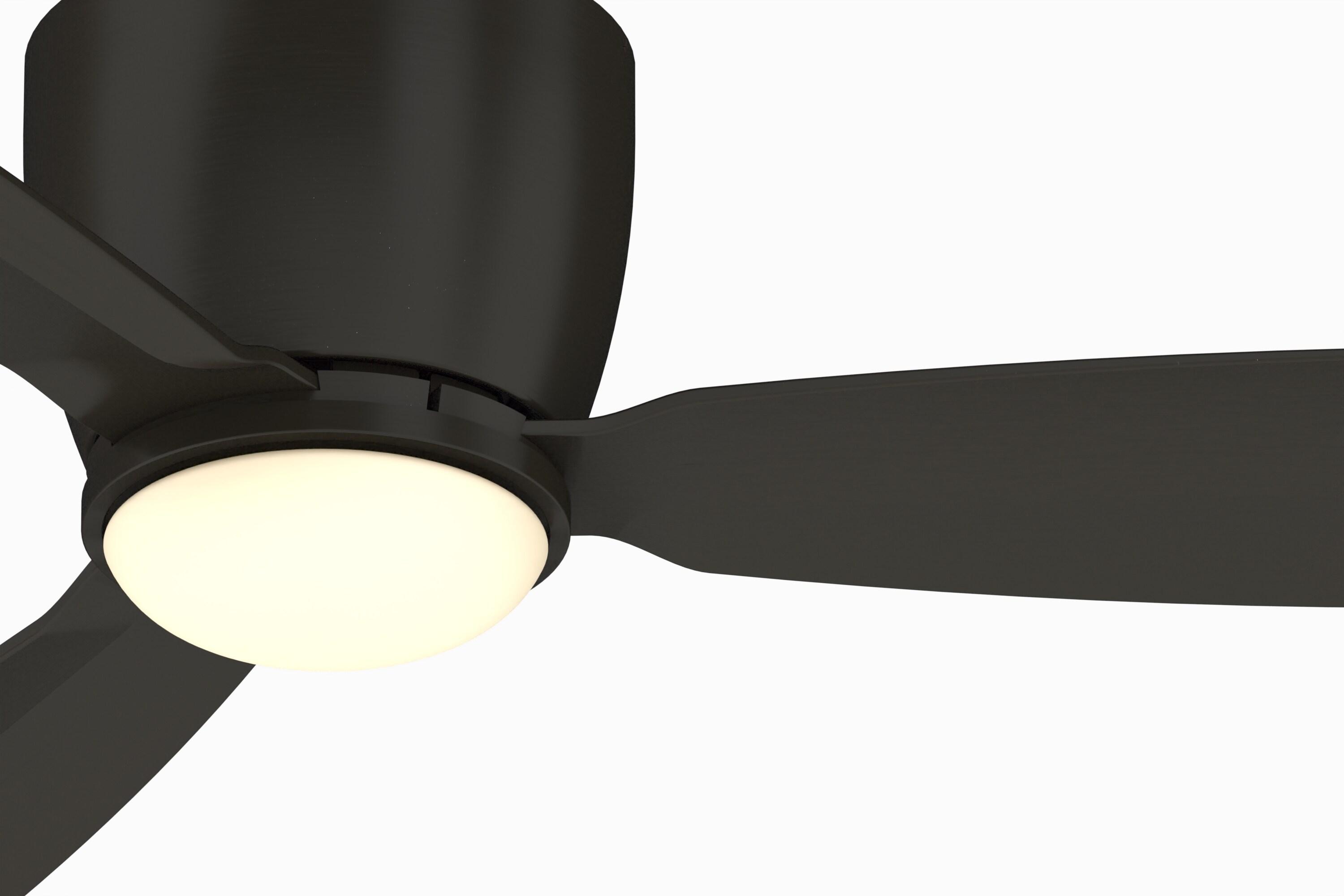 Fanimation Embrace 52'' Ceiling Fan with LED Lights