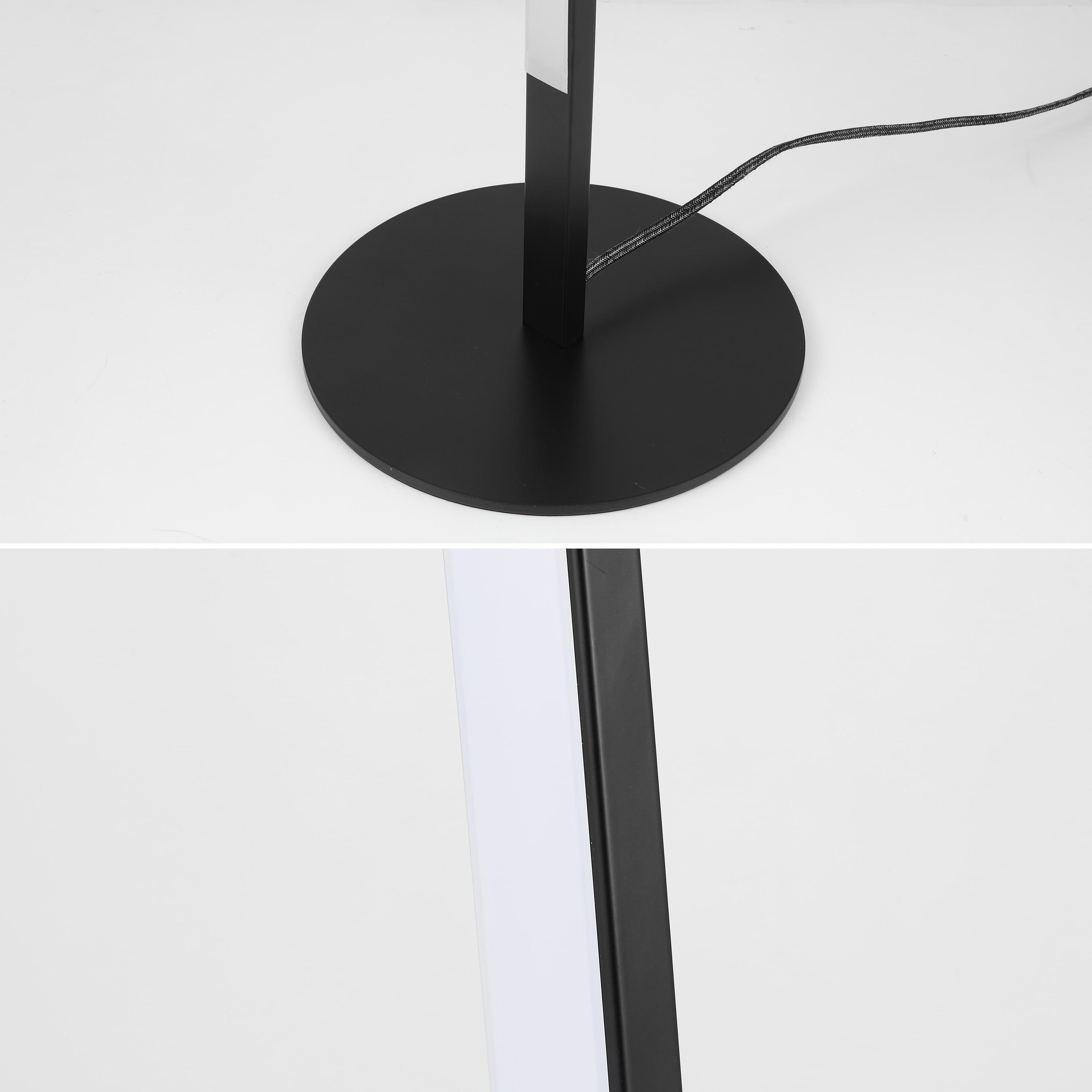 Malthe 71'' Black LED Novelty Floor Lamp