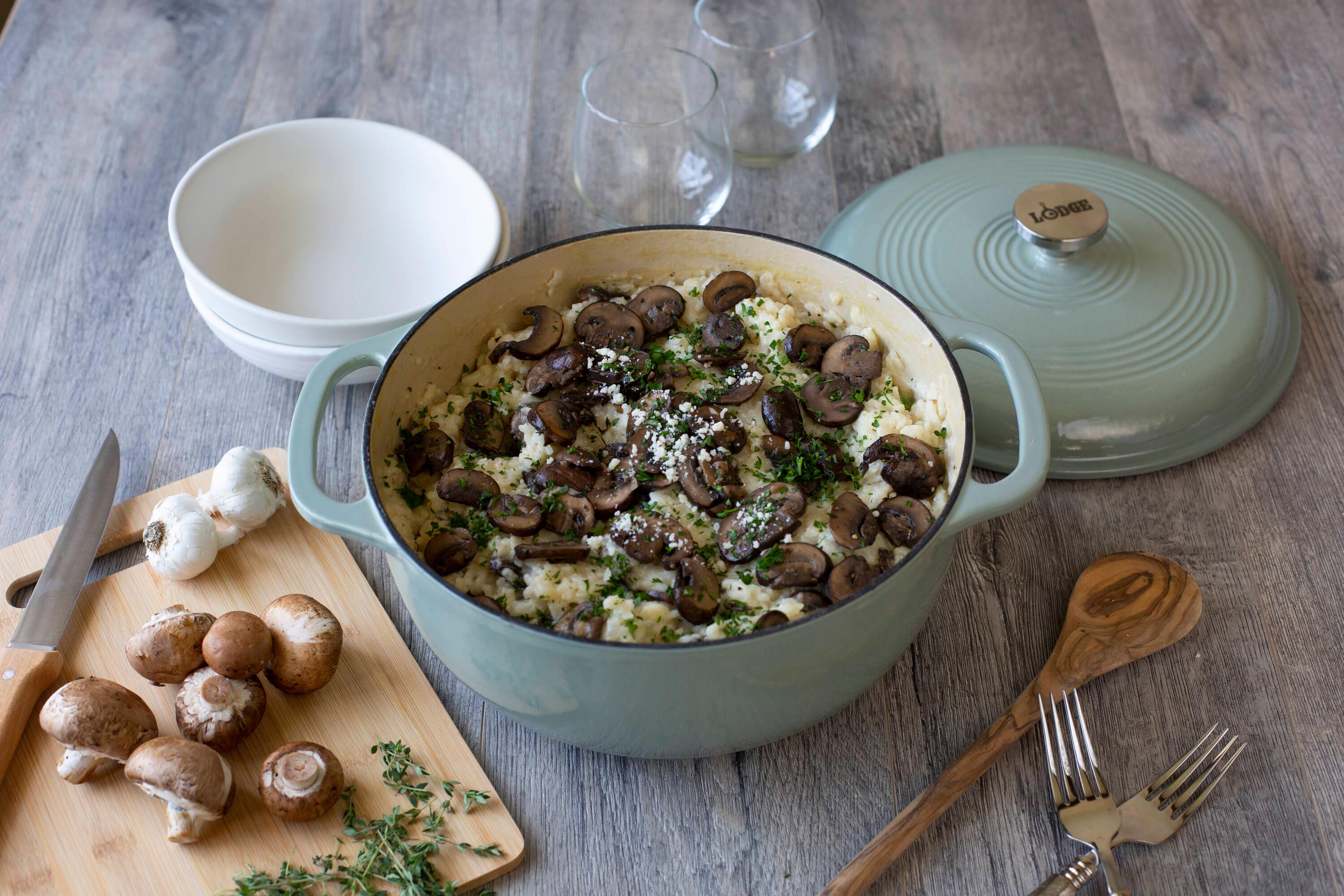 Lodge Enameled Cast Iron Dutch Oven