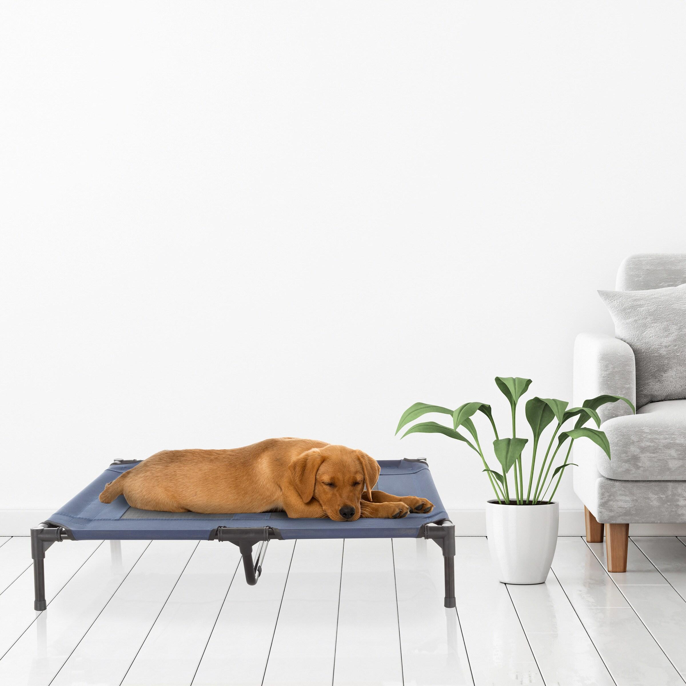 Pet Adobe Portable Raised Cot Style Pet Bed - Navy Blue