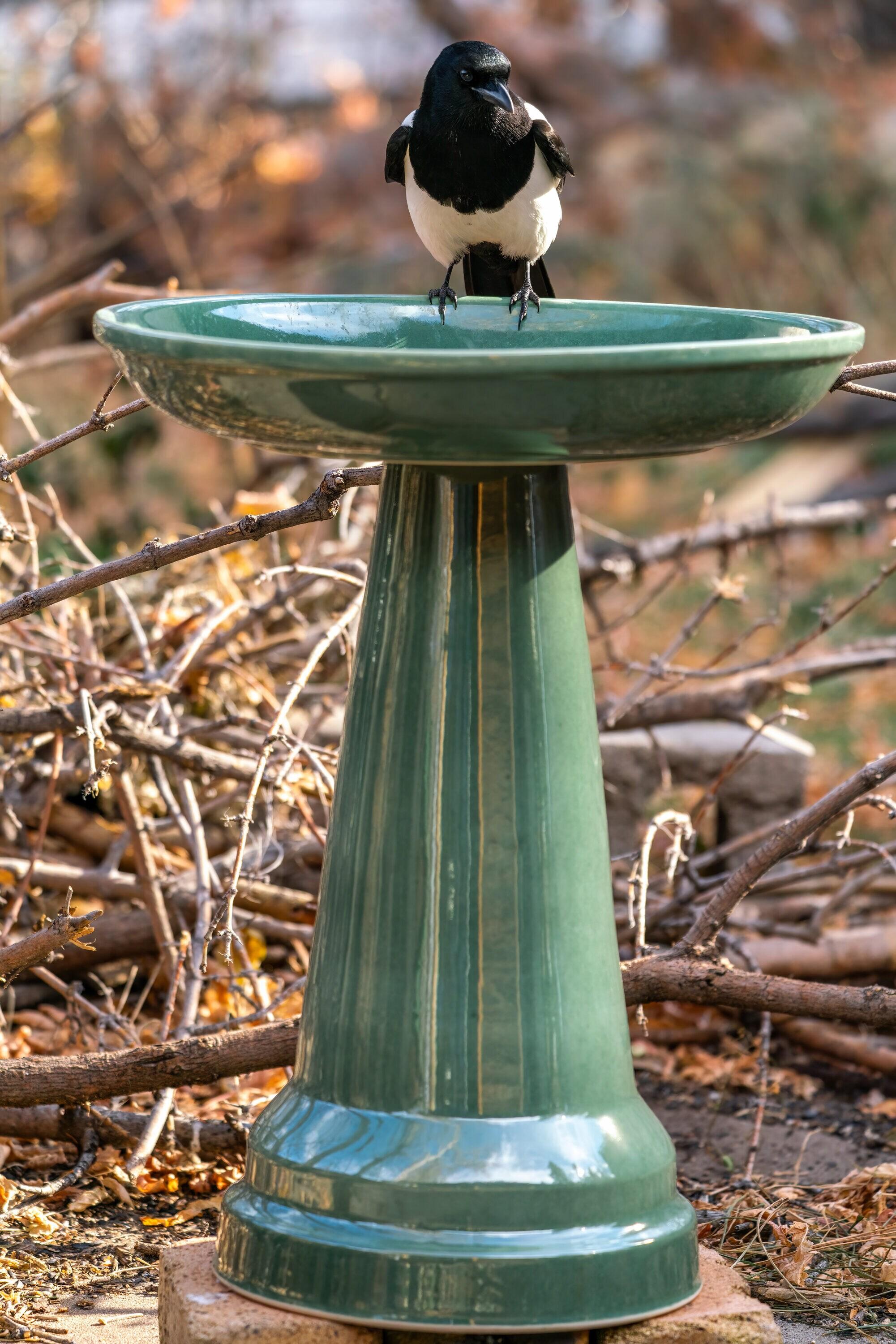 Ohio Stoneware Bird Bath