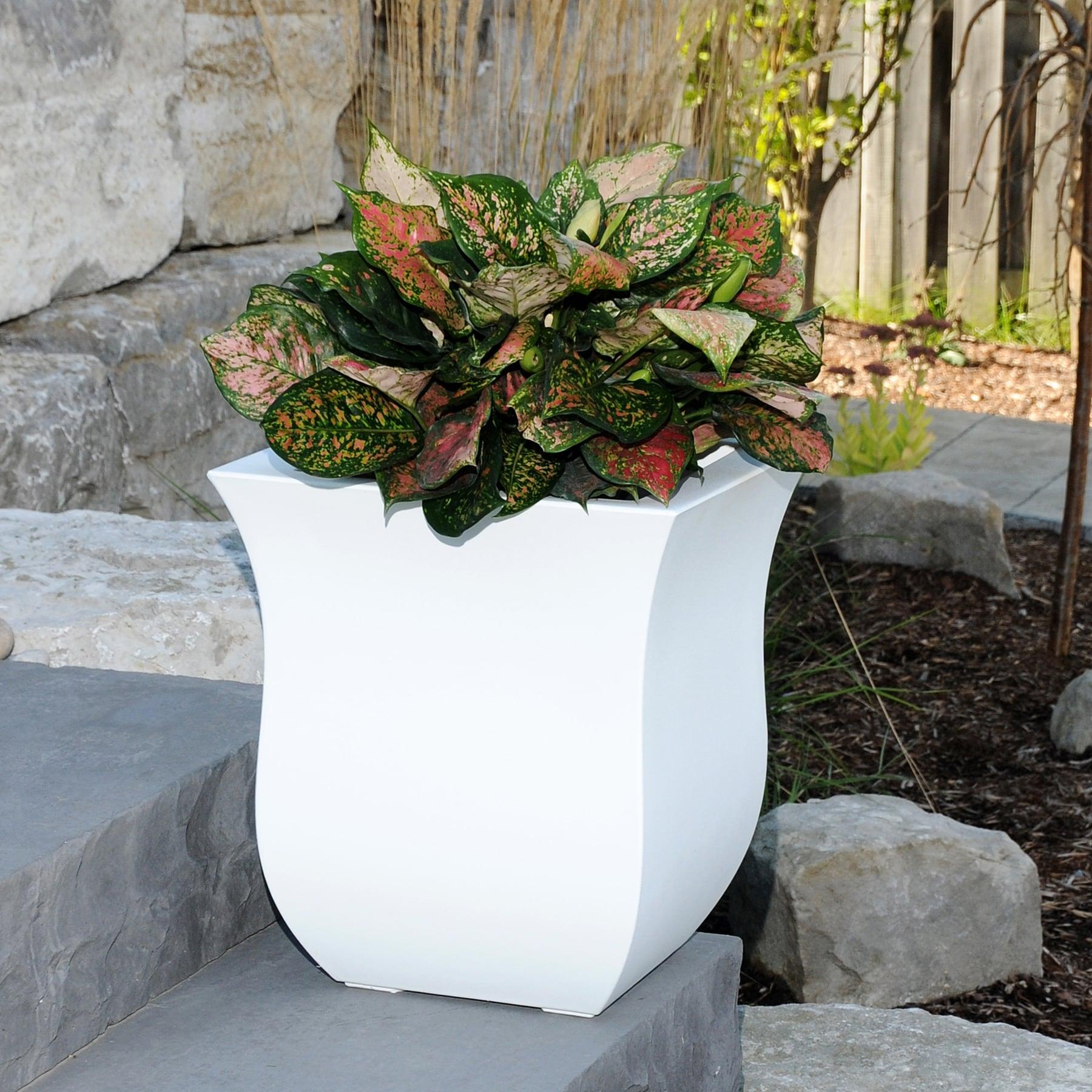 Mayne Valencia 16" x 16" x 18" Square Polyethylene Planter - White