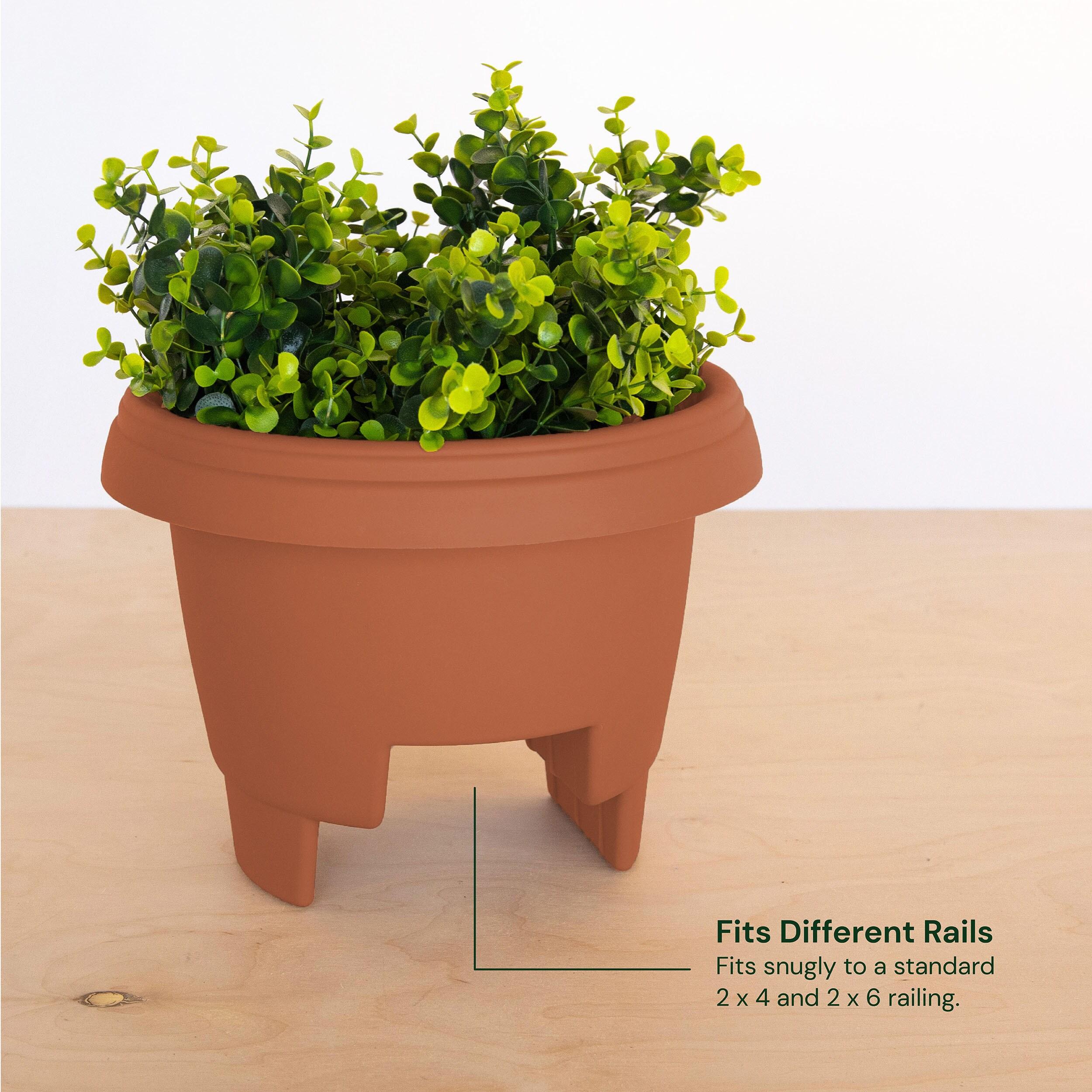 Bloem 12-in Resin Round Deck Rail Round Planter - Terra Cotta Color