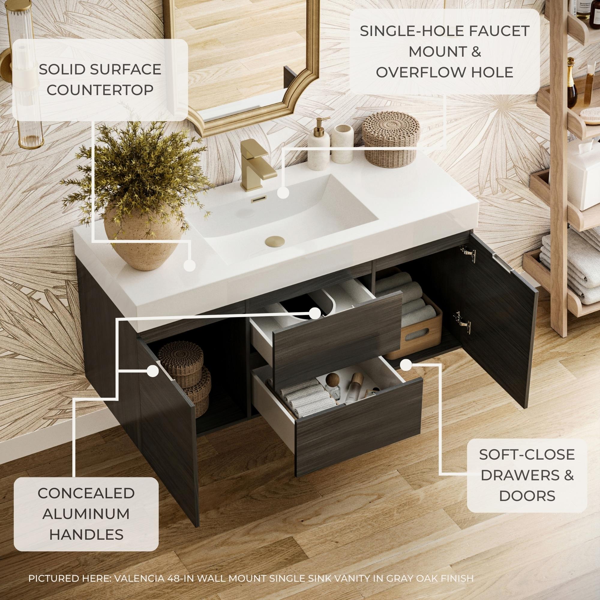Valencia 24" Wall Mount Single Sink Bathroom Vanity with Top and Sink (Faucet Not Included)