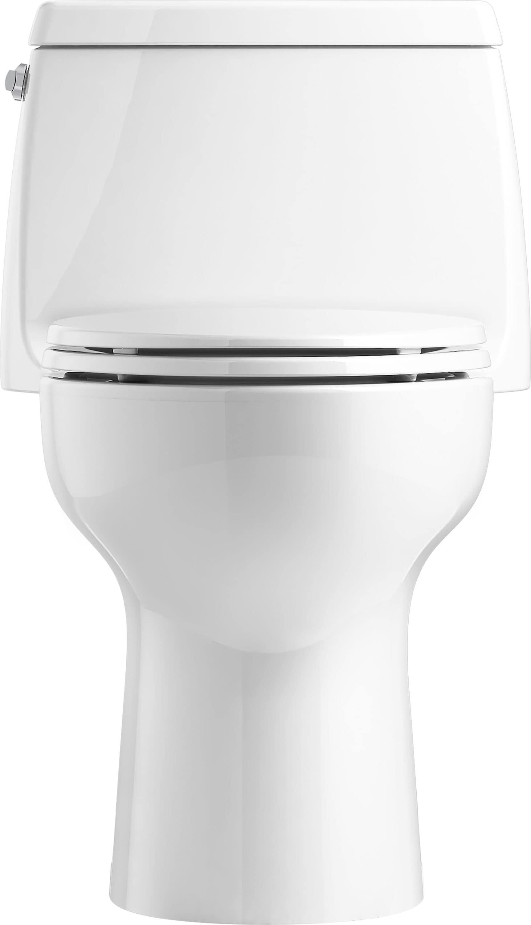 Santa Rosa One-Piece Compact Elongated 1.6 Gpf Toilet With Revolution 360 Swirl Flushing Technology