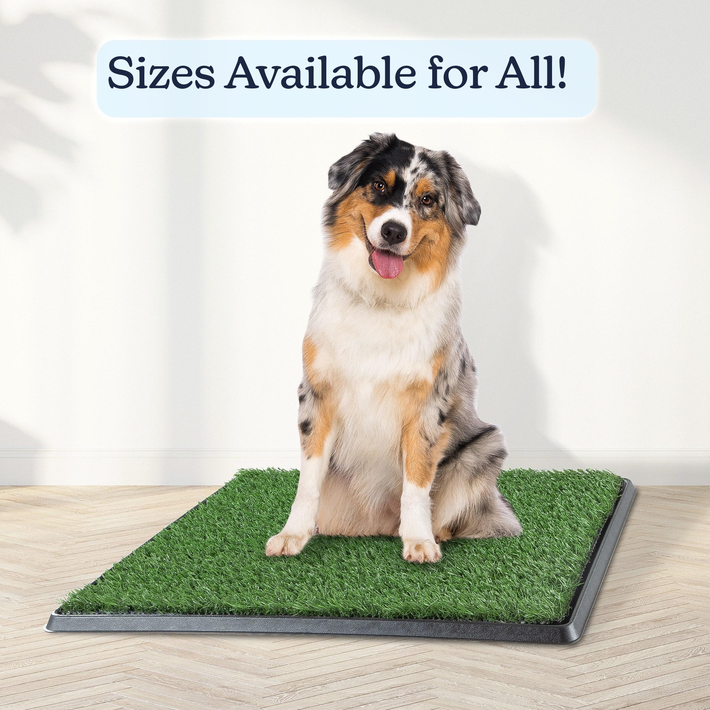 Pet Adobe Artificial Grass Potty Trainer Mat 20x25