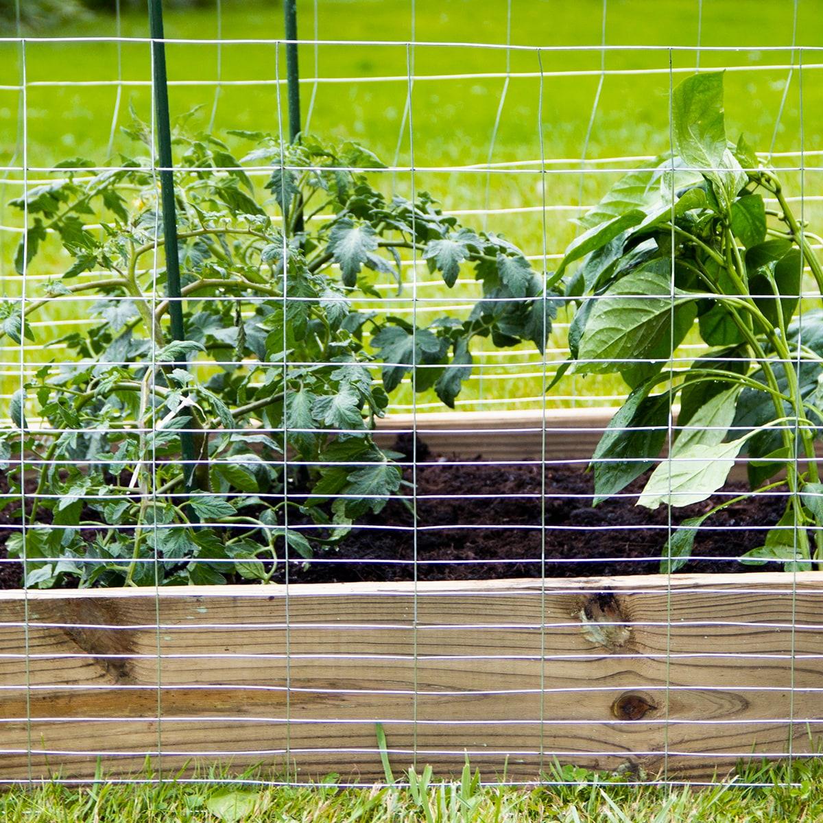 36-Inch Gray Galvanized Steel Rabbit Guard Garden Fence