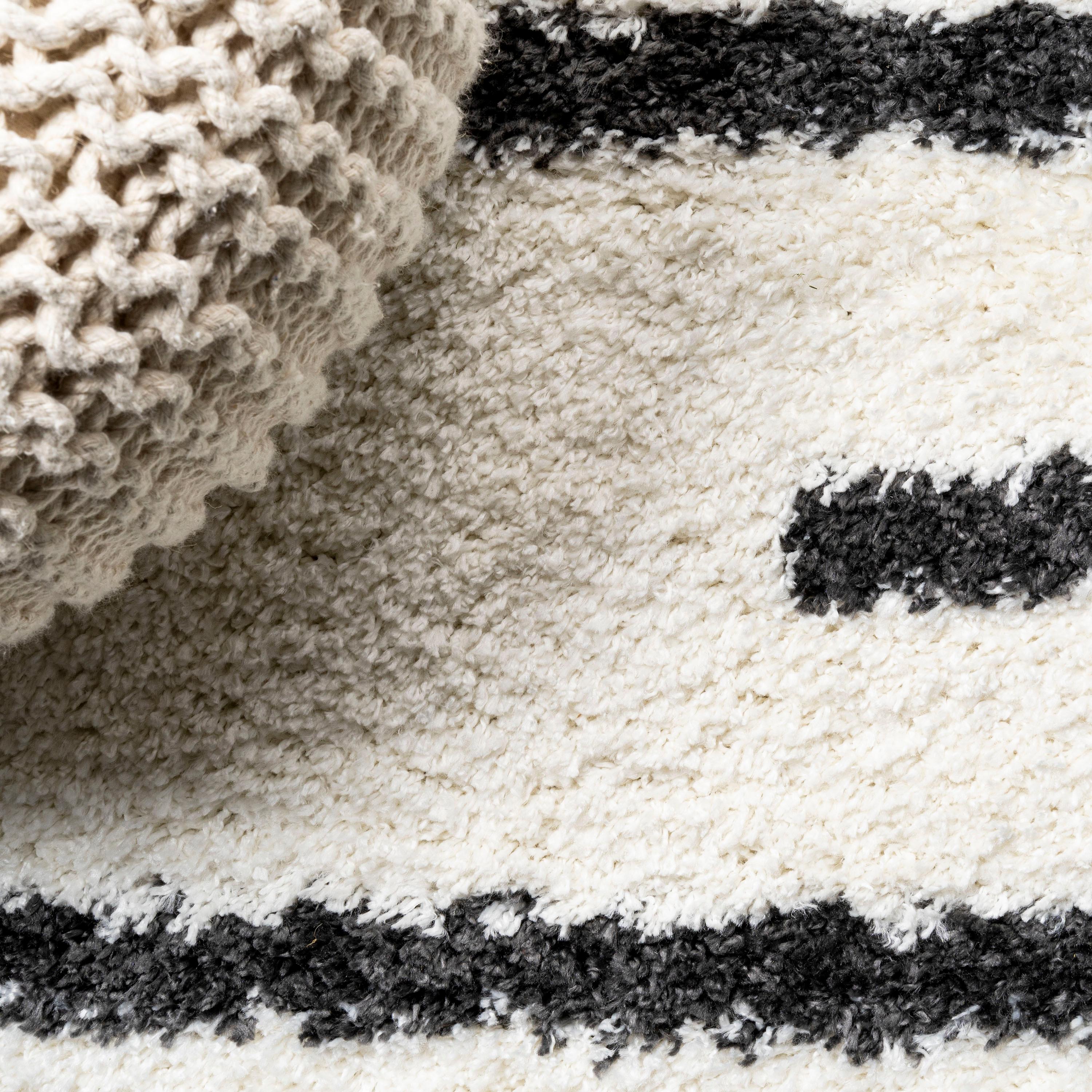 3'x5' Alaro Berber Stripe Shag Area Rug, White/Black - JONATHAN Y