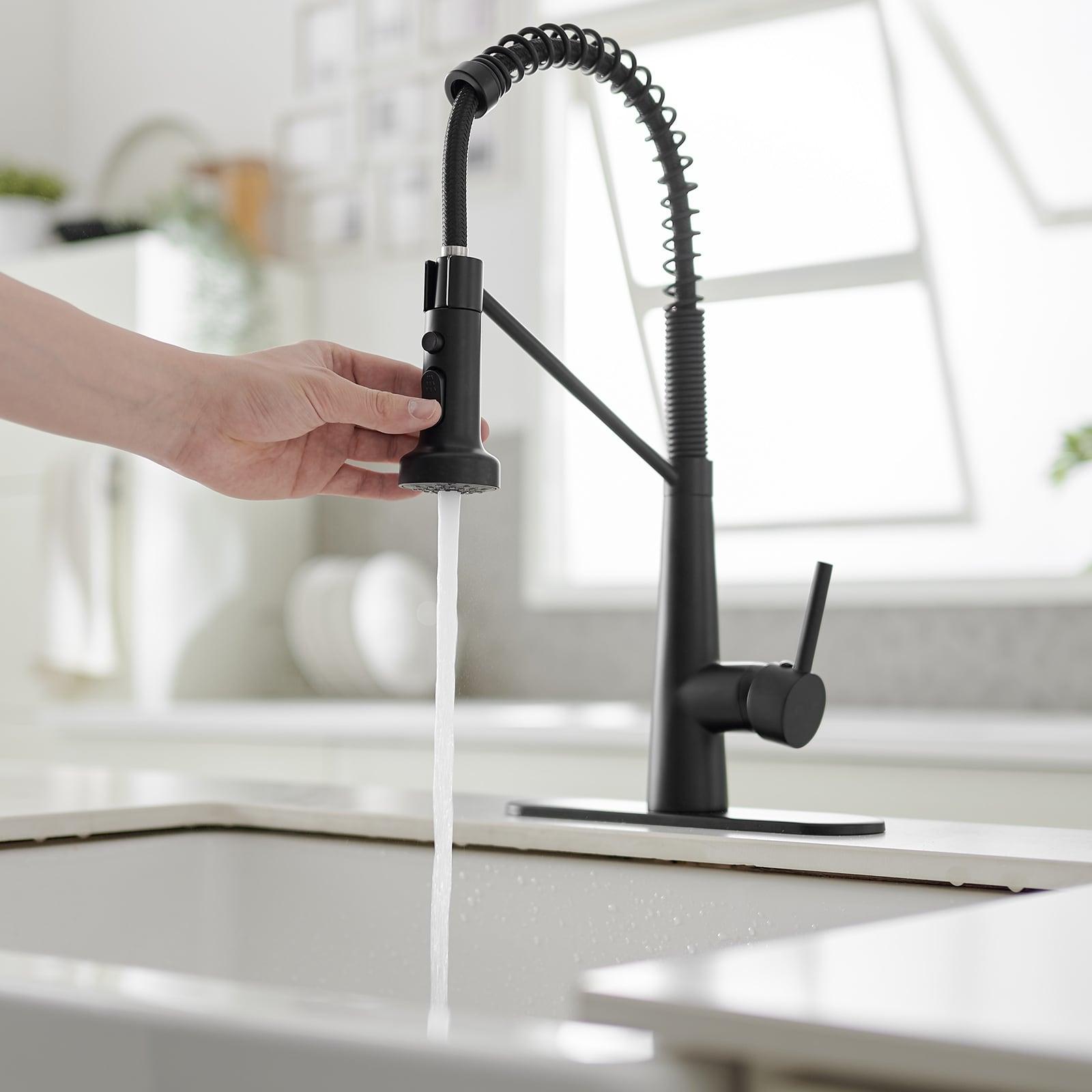 Single-Handle Pull-Down Sprayer 2 Spray High Arc Kitchen Faucet With Deck Plate