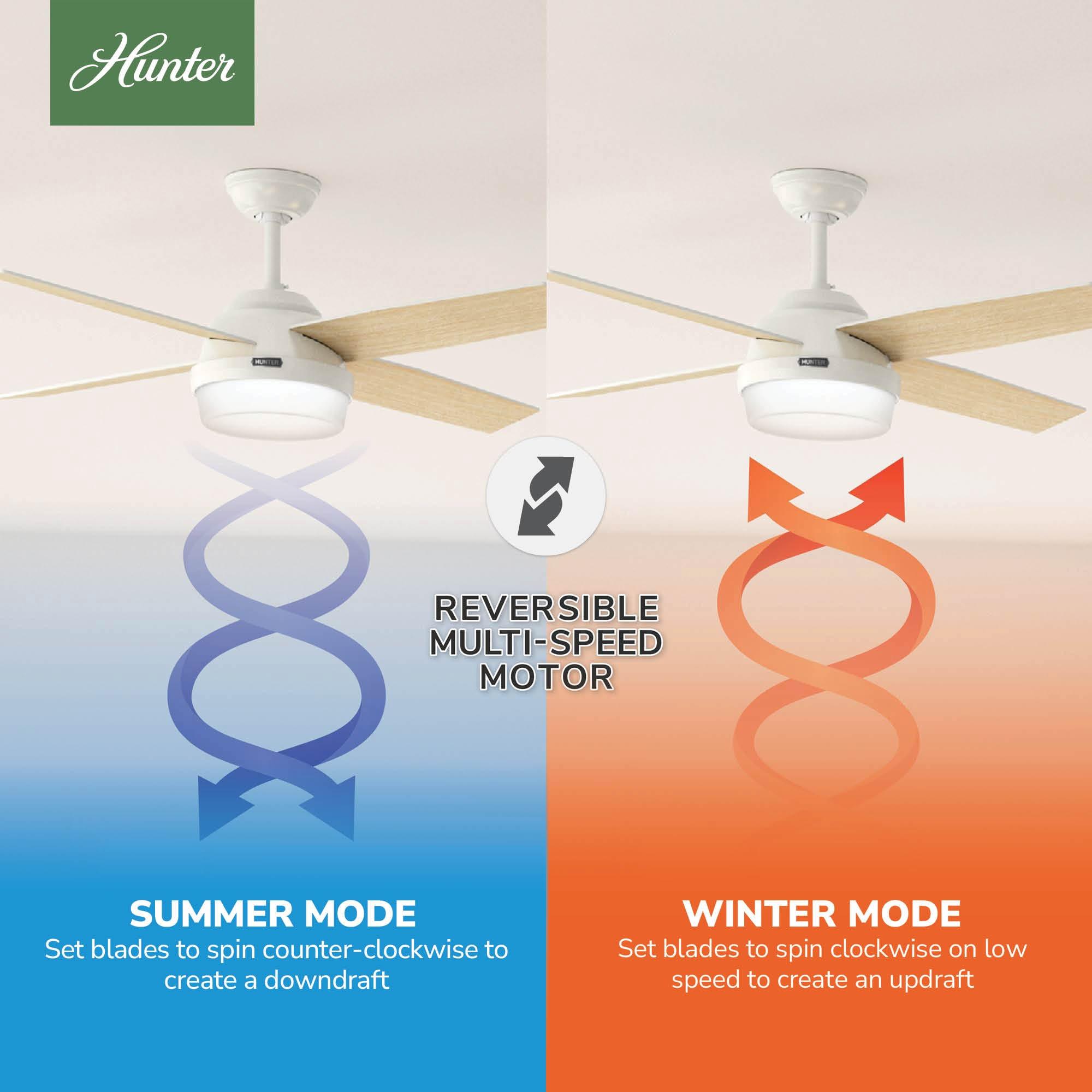 Dempsey 52" 4 - Blade Contemporary Indoor Ceiling Fan with Lights and Remote