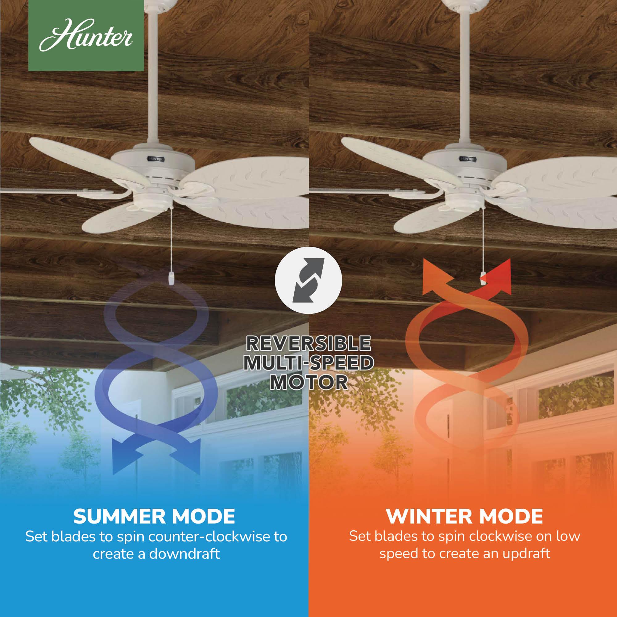 54" Bayview 5 - Blade Outdoor Tropical Leaf Ceiling Fan with Pull Chain