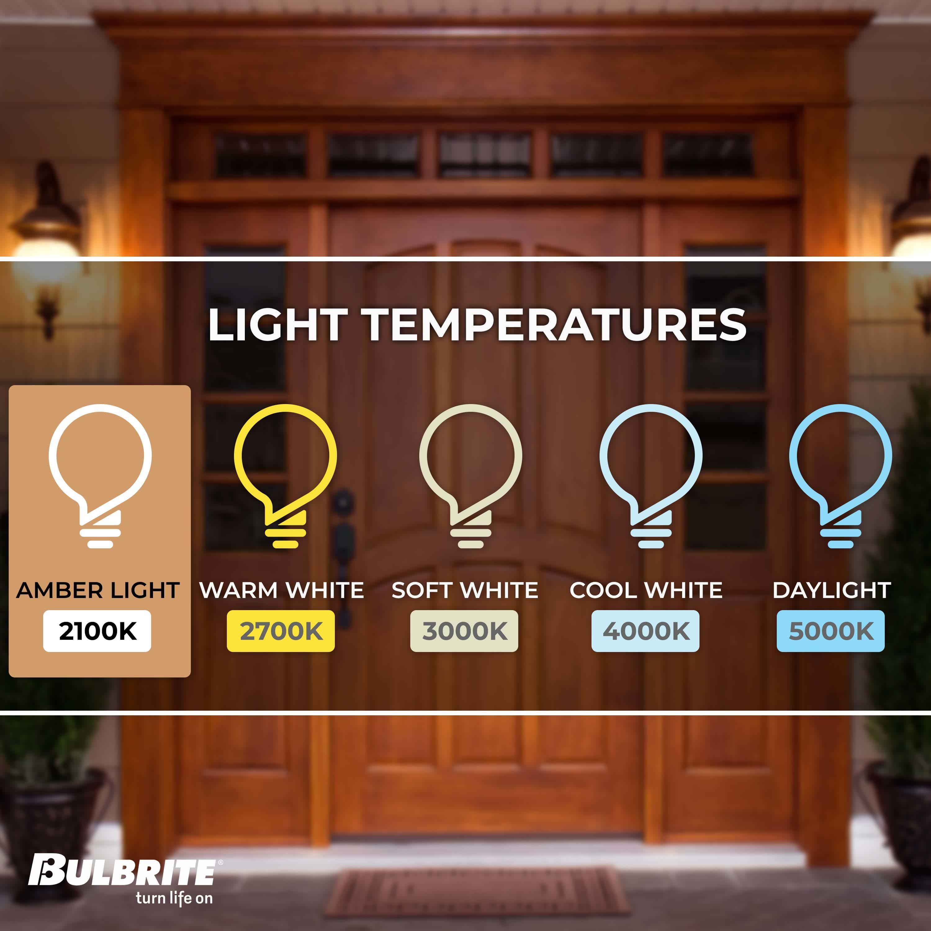 Oversized Bee Hive Clear LED Edison Bulb, 60 Watt Equivalent, E26 Dimmable 2200K