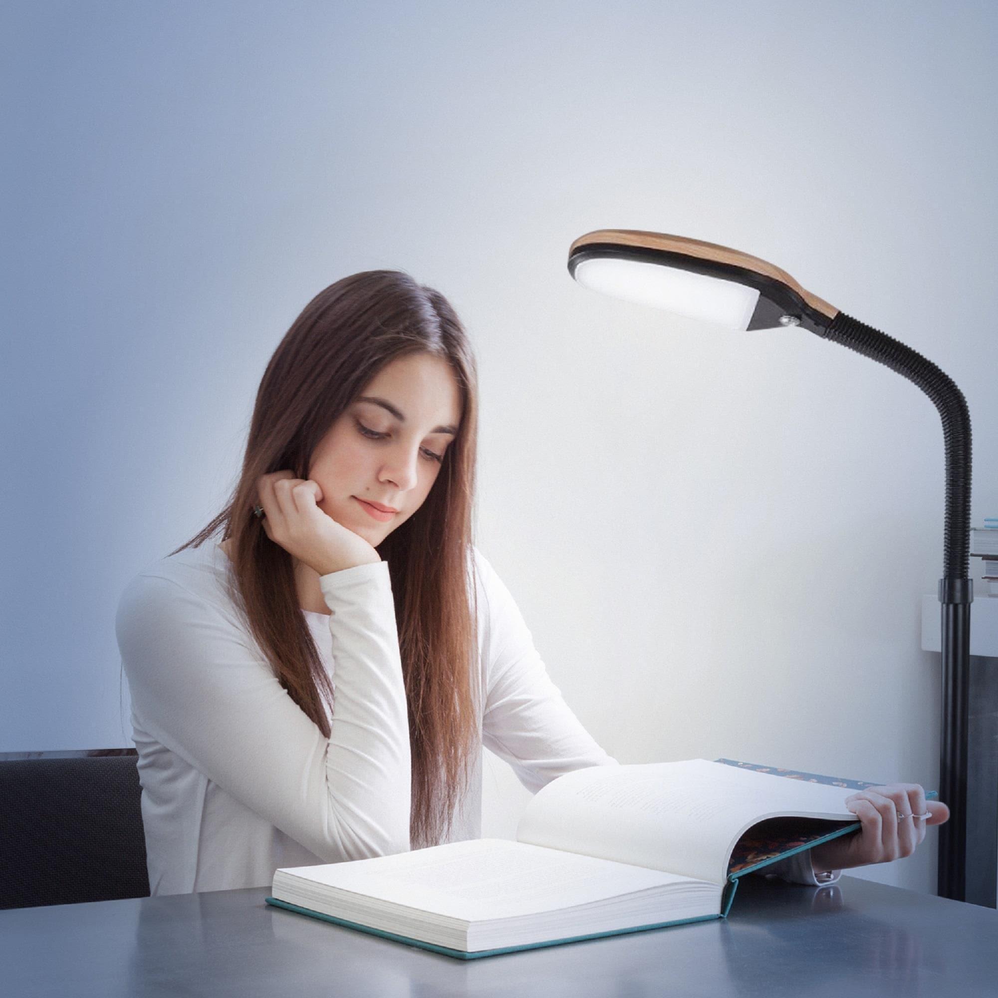 Brightech Litespan 53 in. Industrial Dimmable LED Floor Lamp with Height Adjustable Gooseneck Head