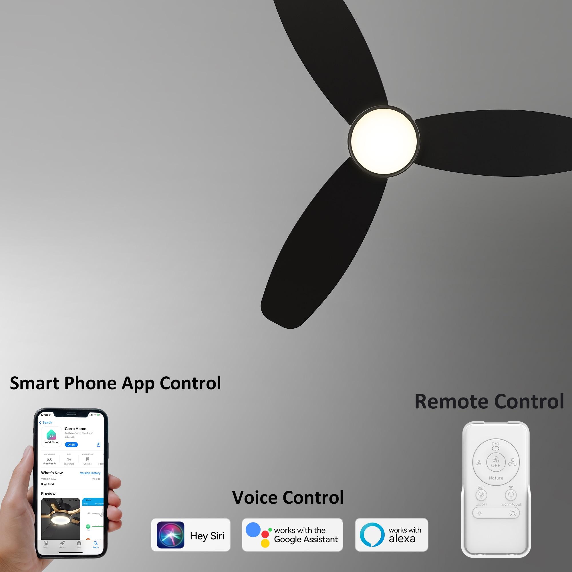 CARRO Smart Flush Mount Ceiling Fan with Light, Remote Control, DC Motor
