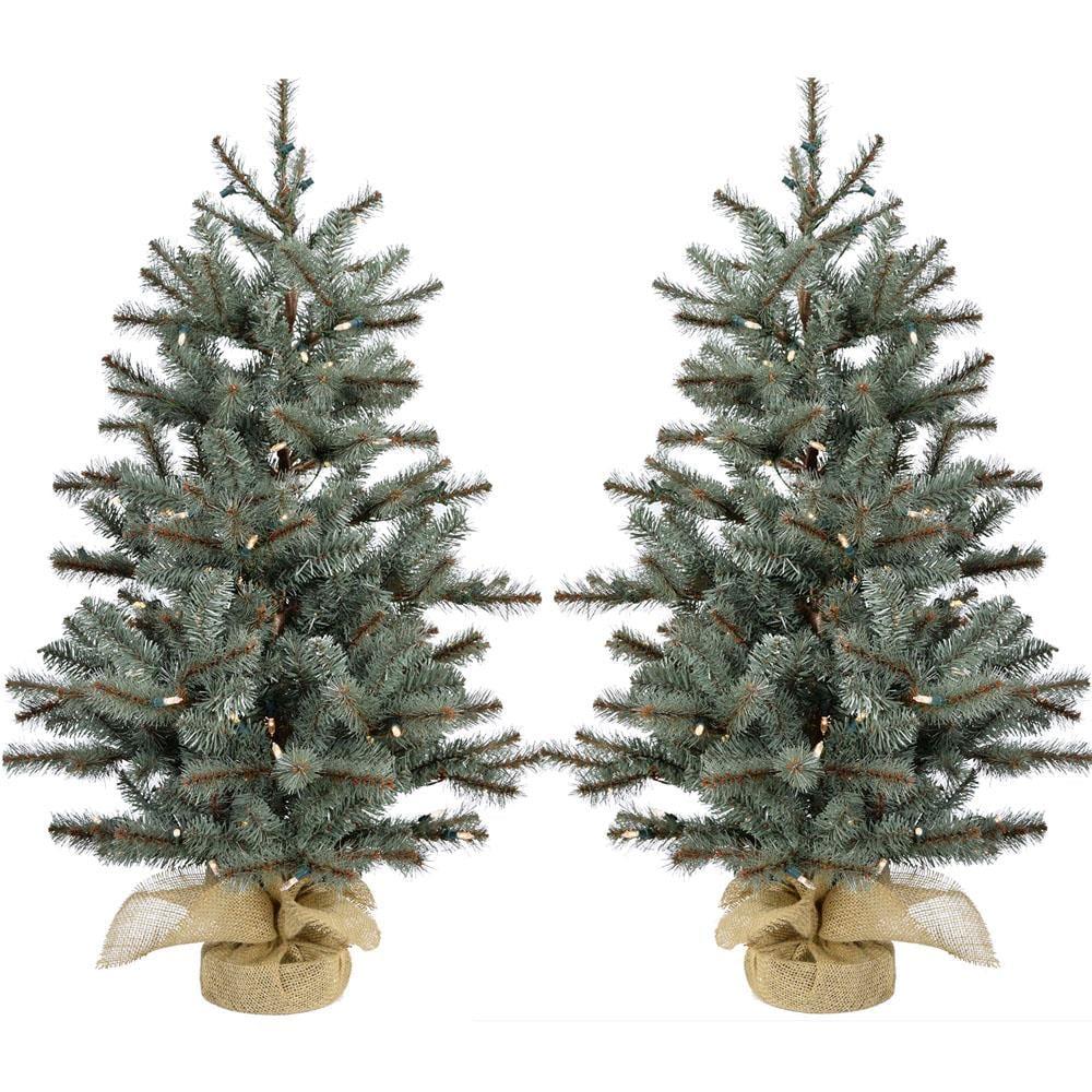 Rustic Farmhouse 36'' Lighted Pine Christmas Tree (Set of 2)