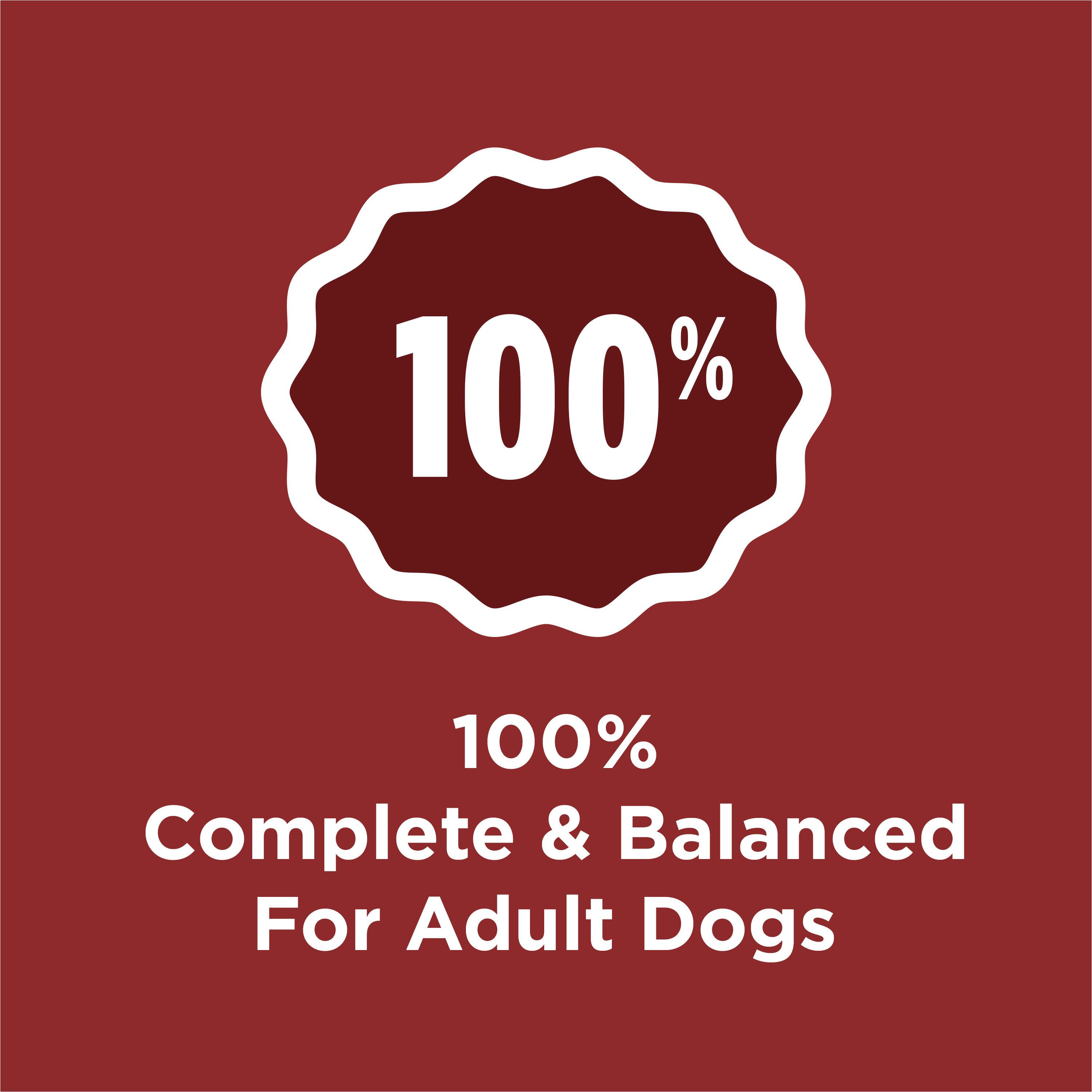 Purina Dog Chow with Real Beef Adult Complete & Balanced Dry Dog Food