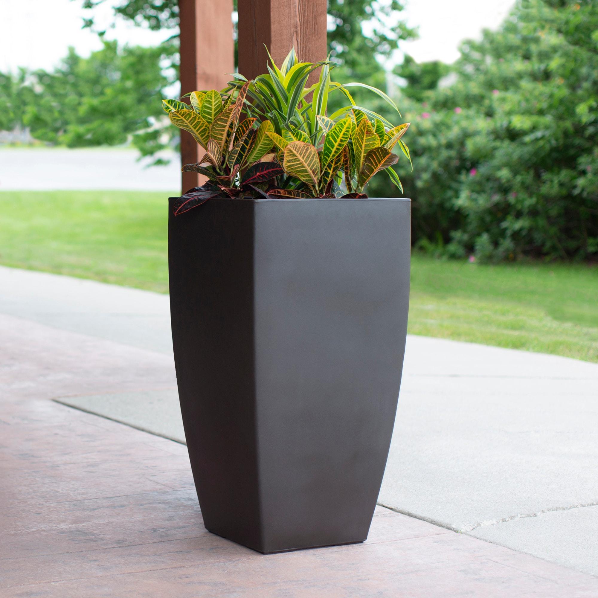 Mayne Inc. Vernamae  Resin Pot Planter With Water Reservoir