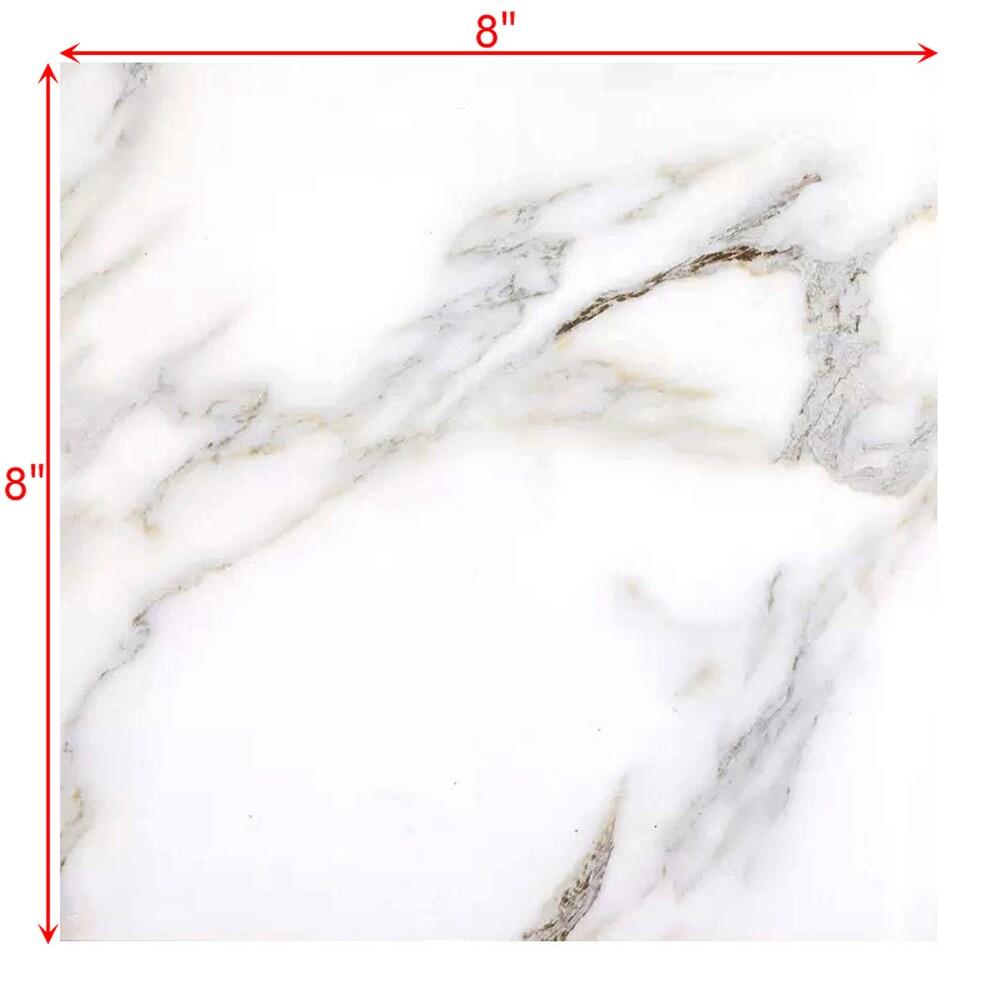 Nature 8 in. x 8 in. Look Glass Straight Edge Large Format Square Decorative Kitchen & Bathroom Wall Tile