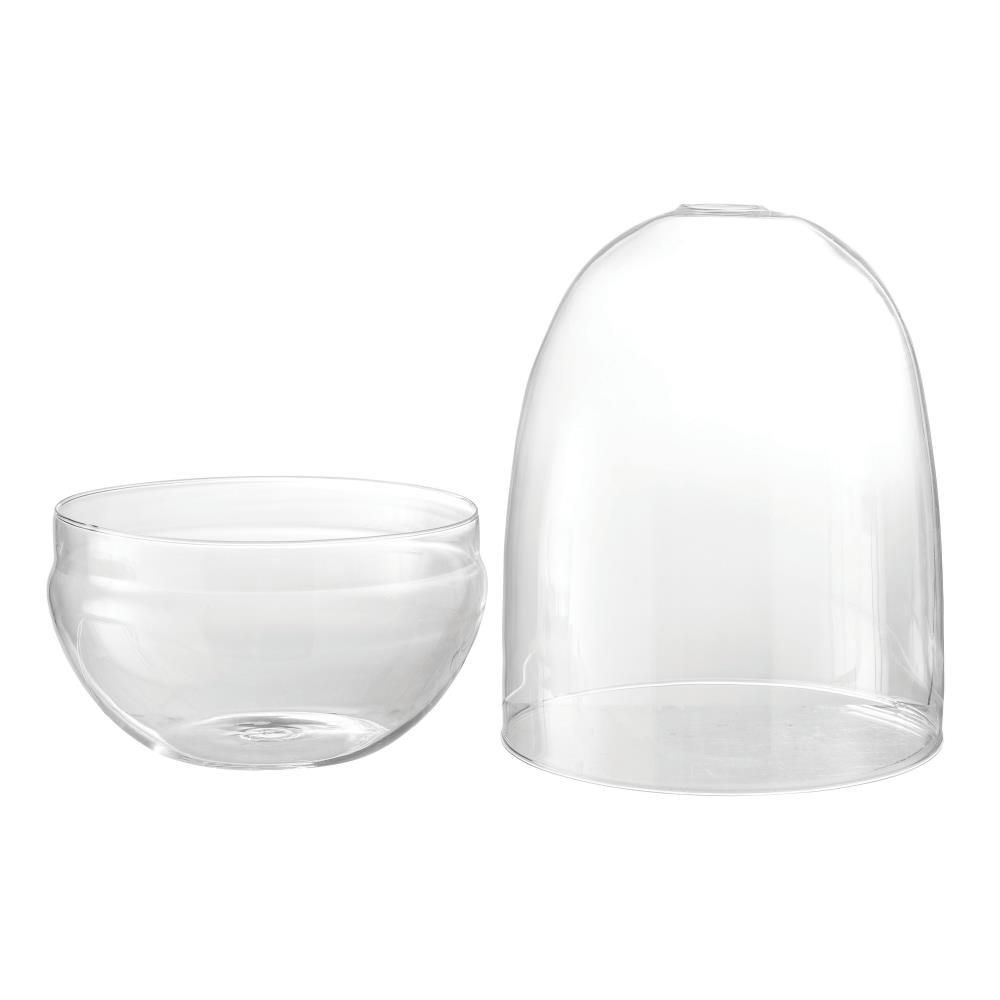 Bloomingville Large Egg Shaped Glass Terrarium, Clear