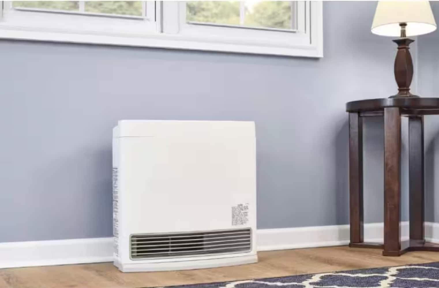Rinnai Rinnai 10000 BTU Propane Wall Mounted Space Heater with Adjustable Thermostat