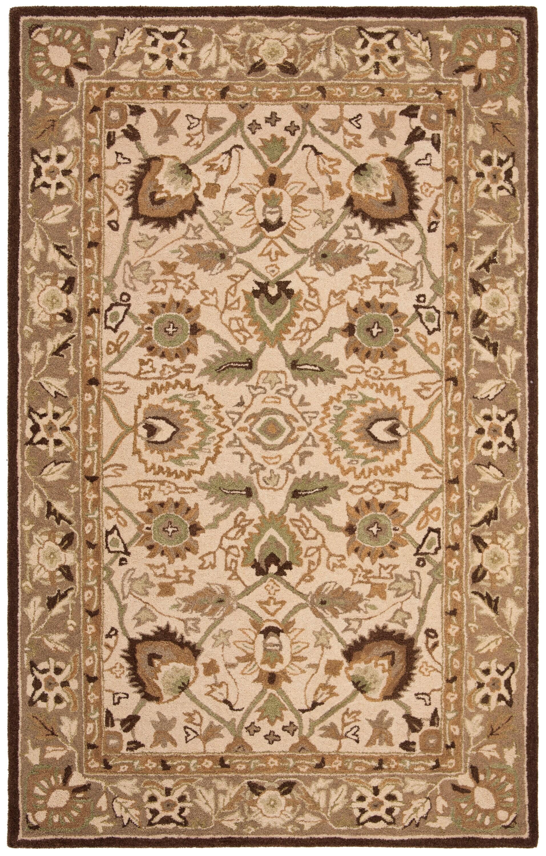 Anatolia AN512 Hand Tufted Indoor Area Rug - Ivory/Brown - 4'x6' - Safavieh
