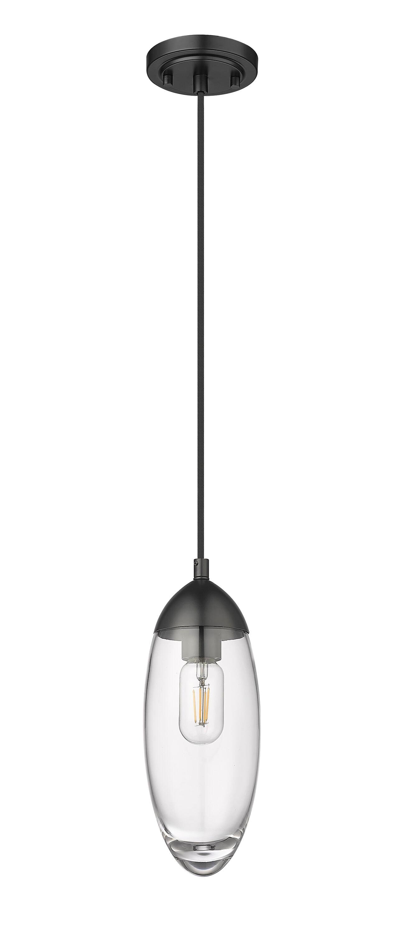 Z-Lite Arden 1 - Light Pendant in  Matte Black