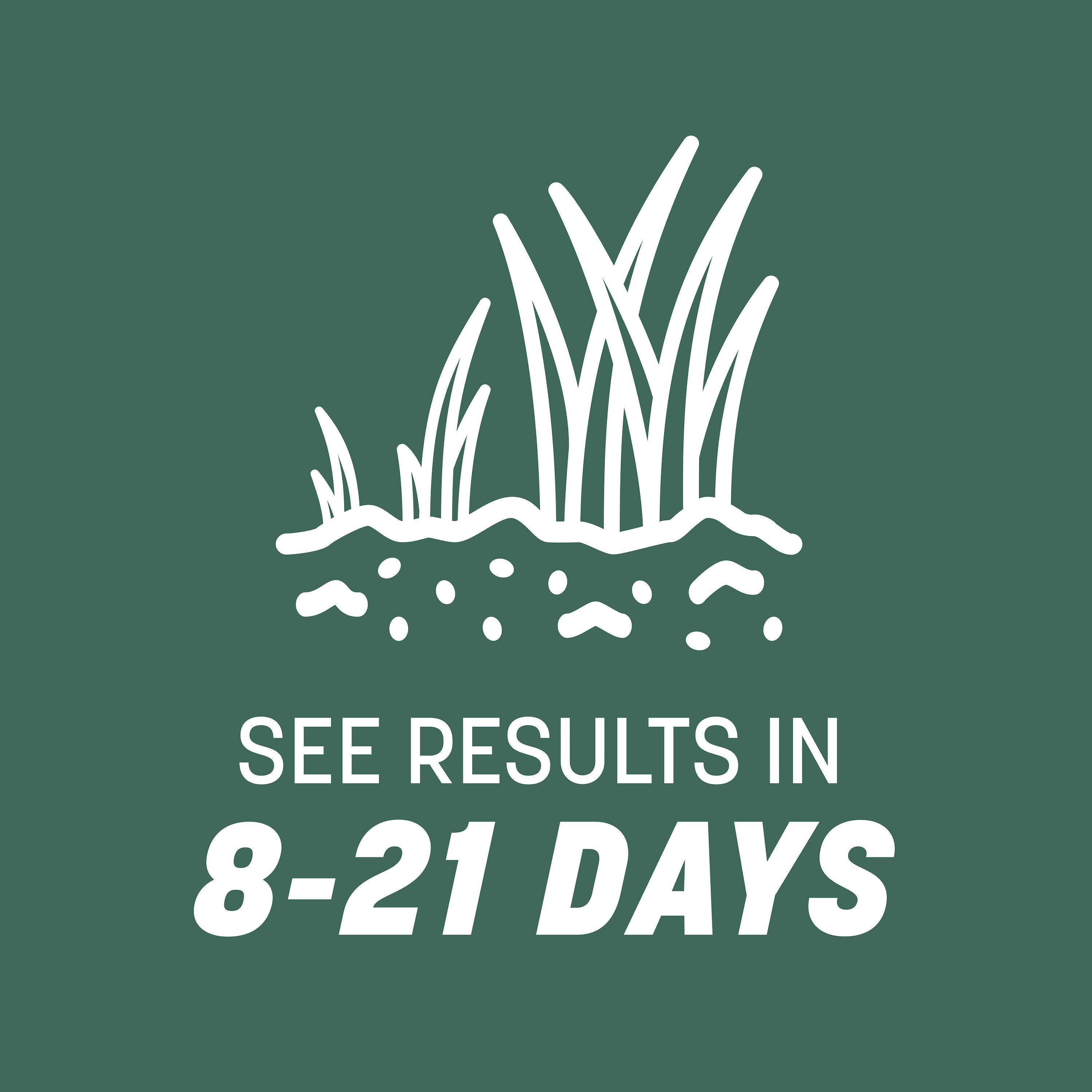 Pennington Kentucky 31 Tall Fescue Grass Sun or Shade Grass Seed 7 lb