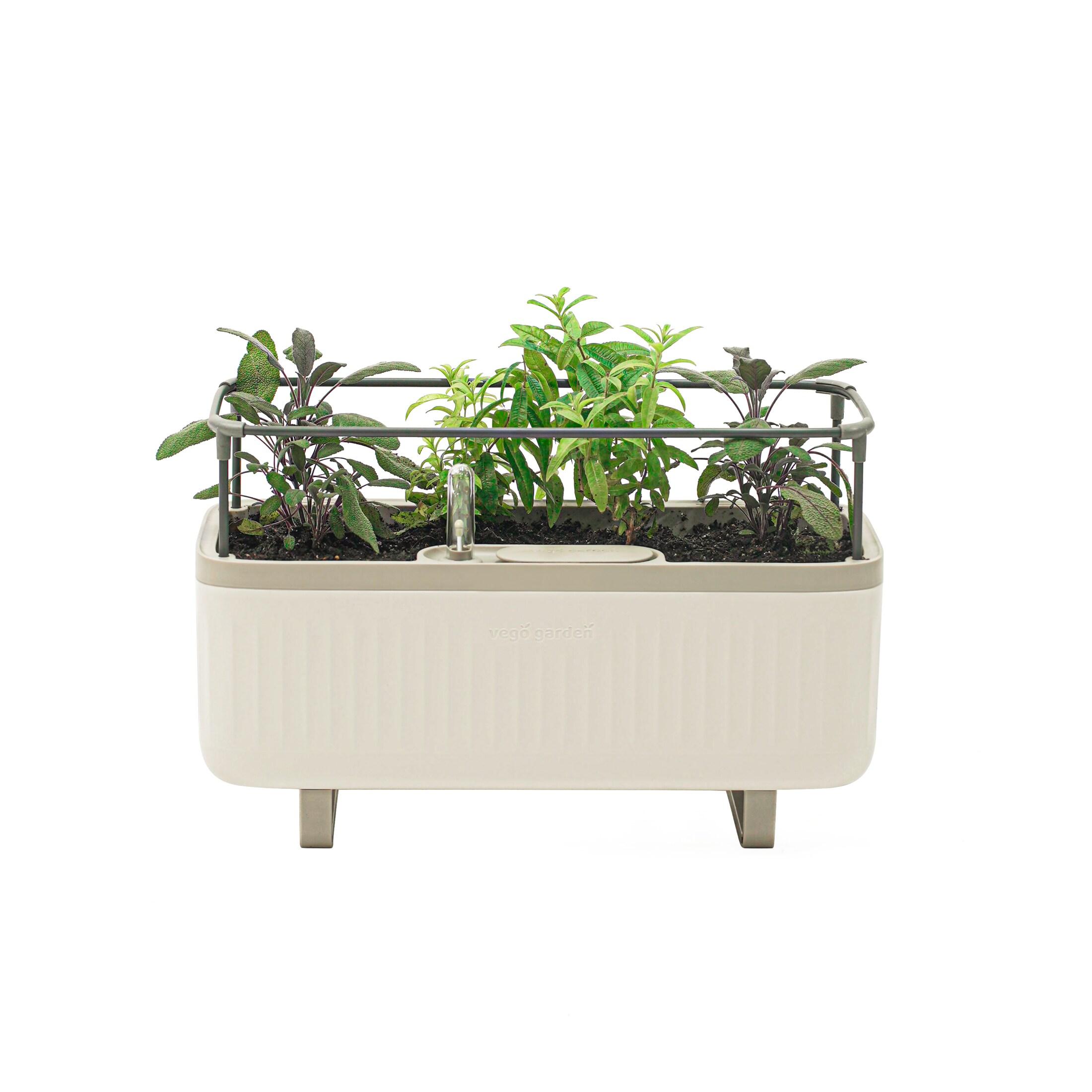 Vego Garden Mini Herb Plastic Outdoor Pot Planter with Trellis