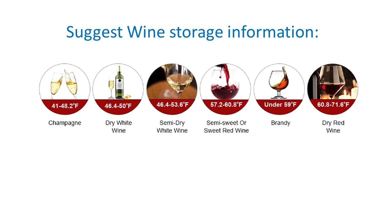 Equator Advanced Appliances Equator 110V/12V Portable Electric Wine Chiller for Red, White, Champagne, and Water Bottles, 750mL Single Bottle Cooler, Stainless Body, Rechargeable, 24h Cold, Ideal for Parties & Gifts