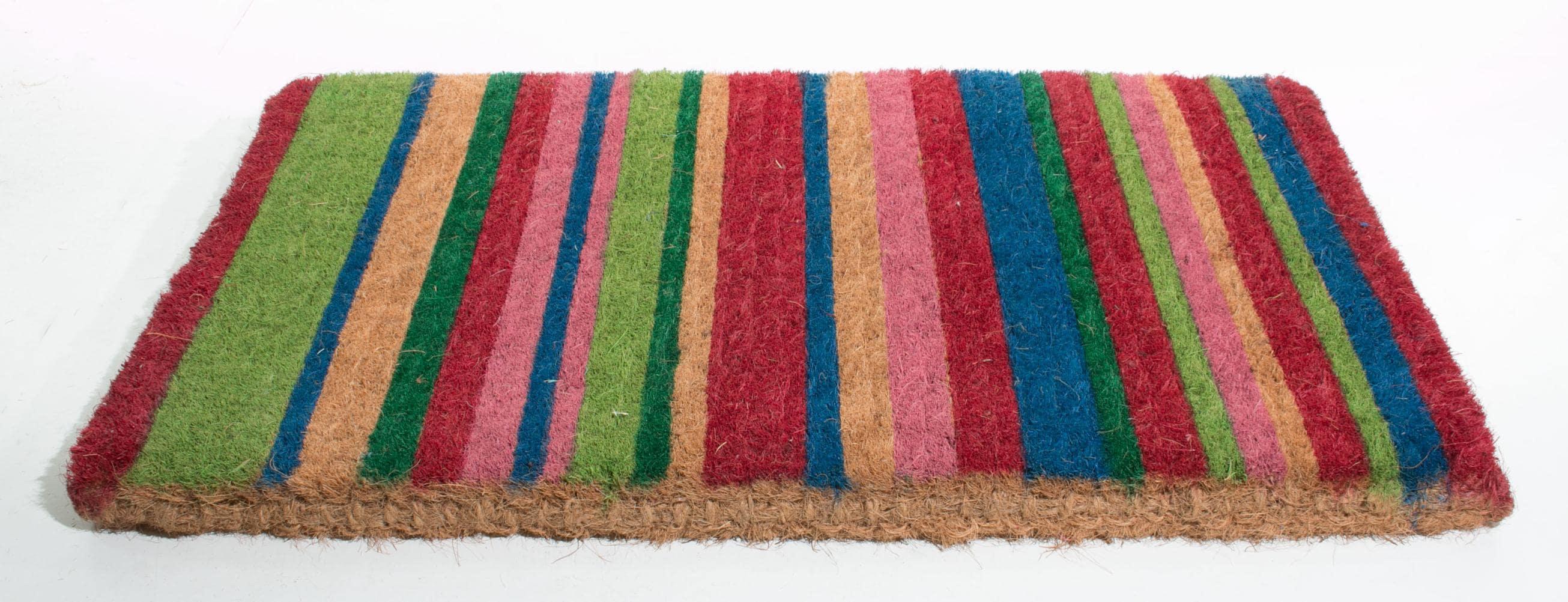 Imports Décor Multicolor Stripes Doormat in Coir Material