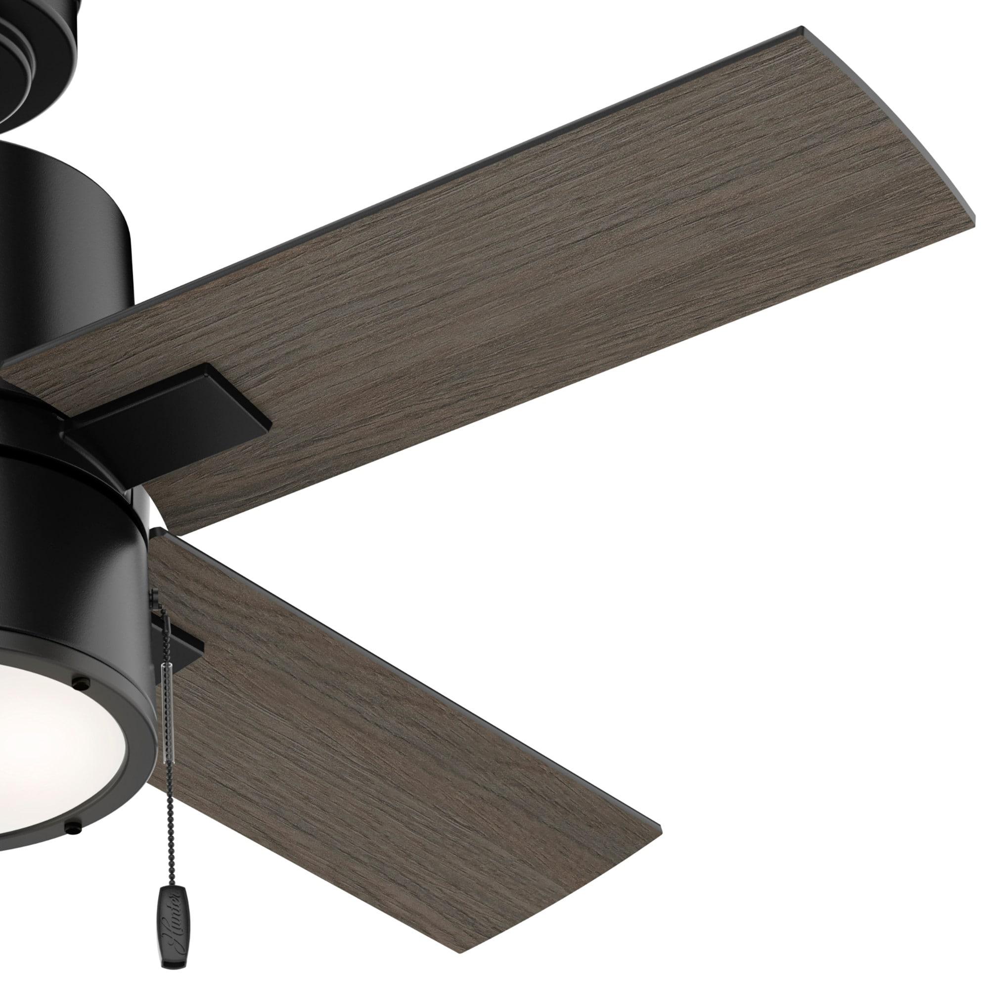 Hunter Fan 42" Beck 4 - Blade Standard Ceiling Fan with Pull Chain and Light Kit Included