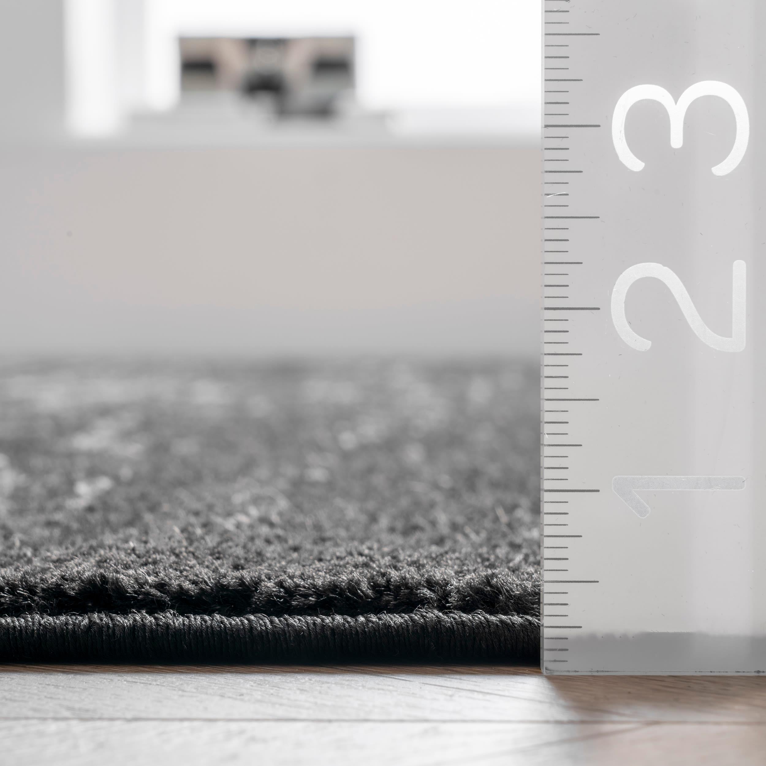 Nuloom Arlena Medallion 4x6 Indoor Area Rug for Living Room Bedroom Dining Room Kitchen, Black/Grey