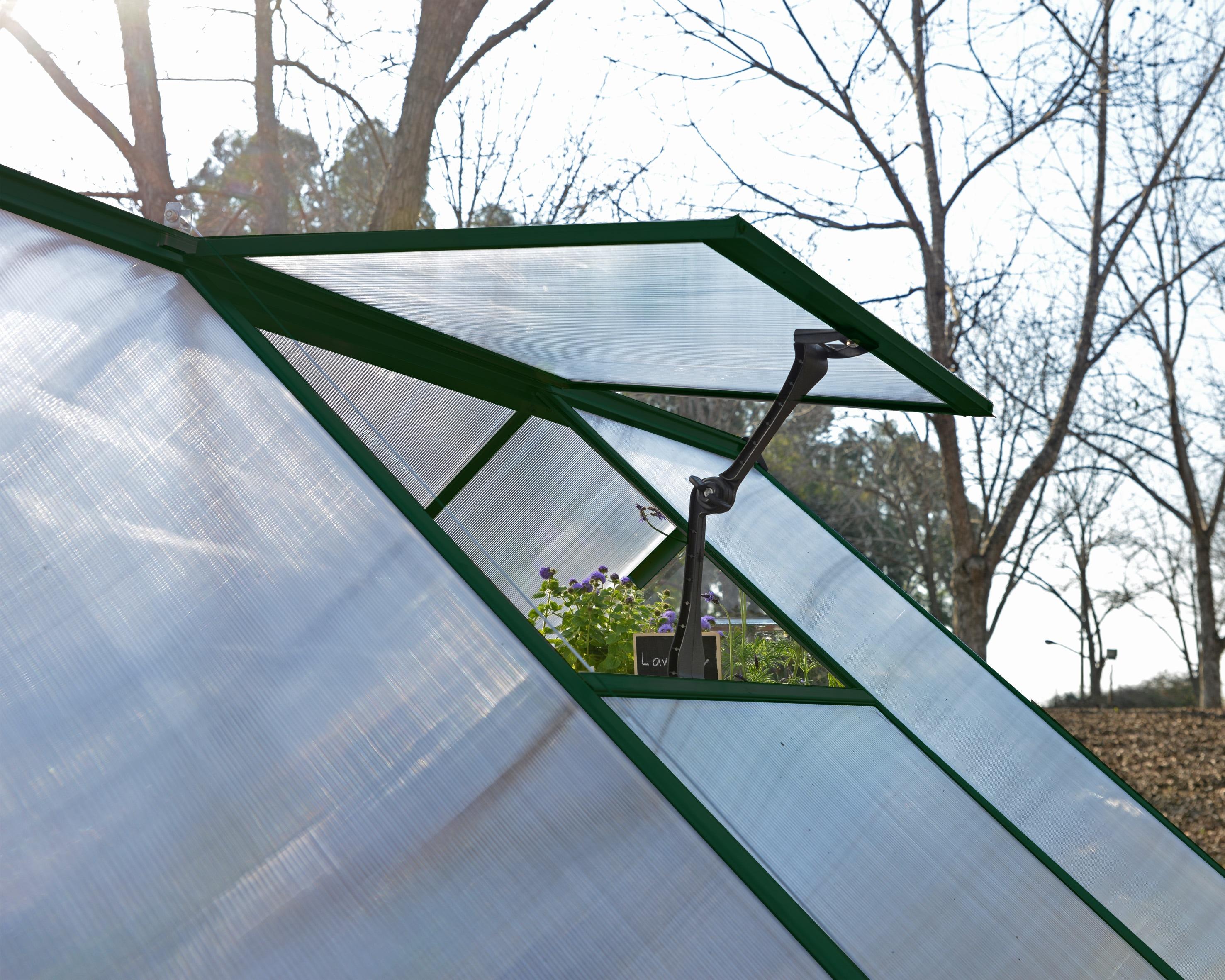 Canopia Palram - Canopia Hybrid Polycarbonate Hobby Greenhouse