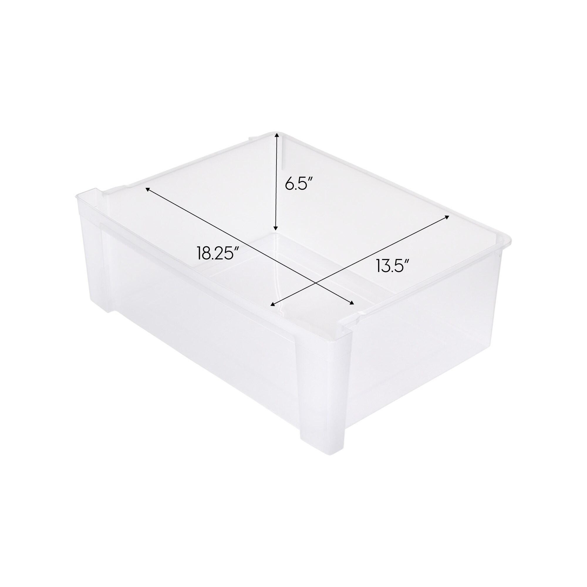 IRIS USA, Inc. Storage Bin (Set of 2)