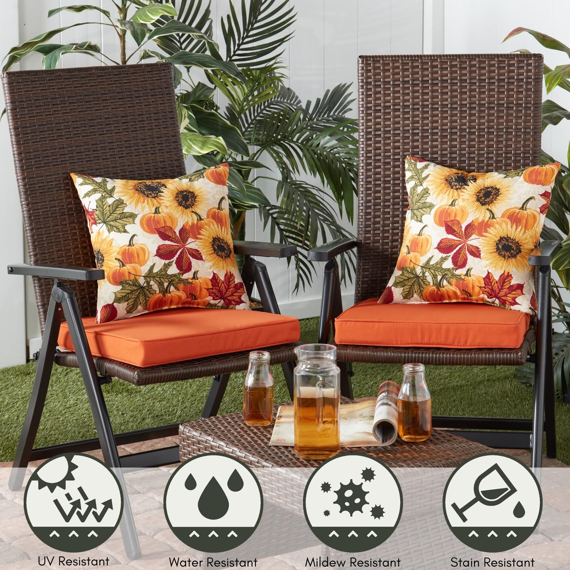 Indoor/Outdoor Reversible Throw Pillow