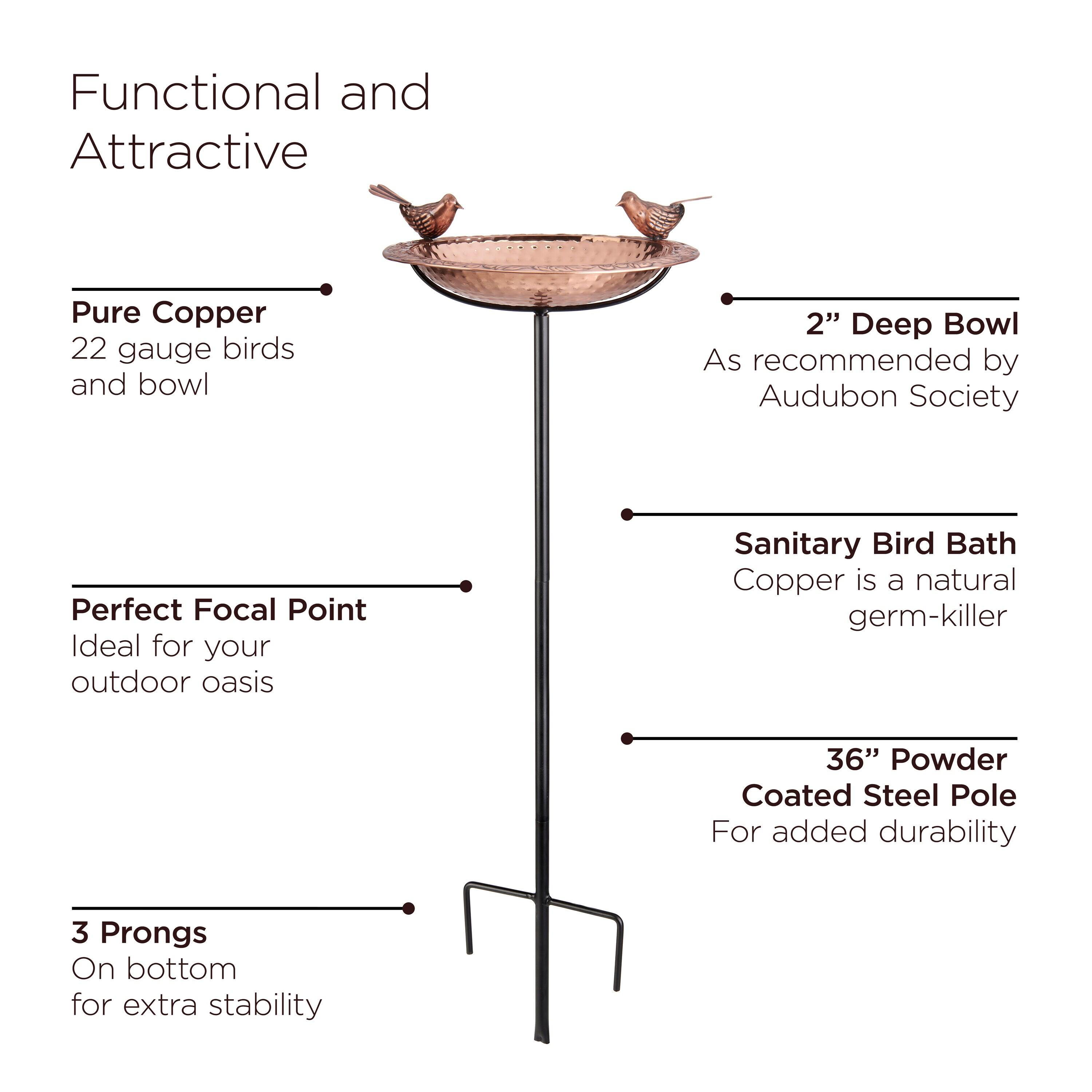 House of Hampton® Dowski Copper Single Tier Birdbath