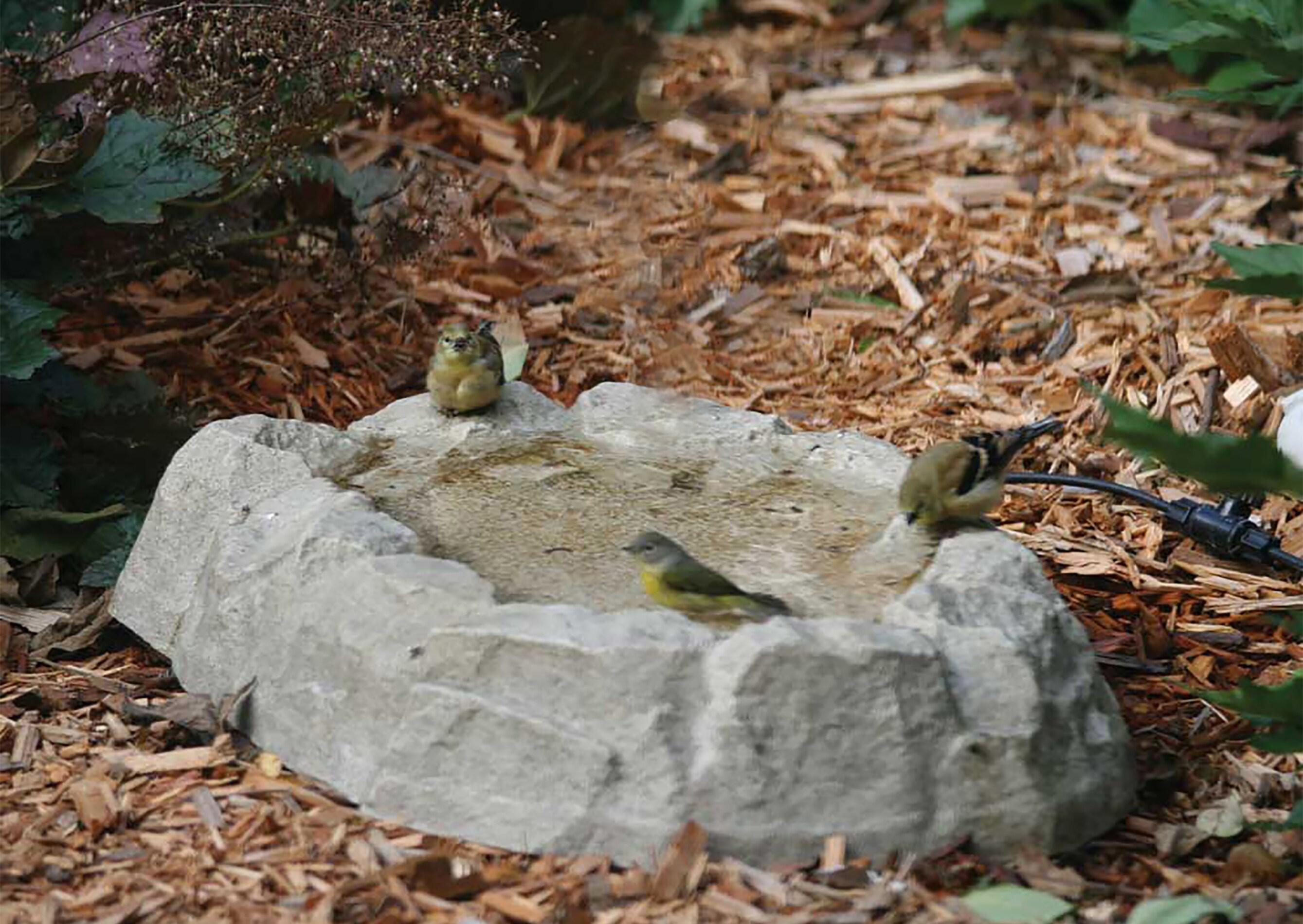 Rocky Mountain Ground Birdbath