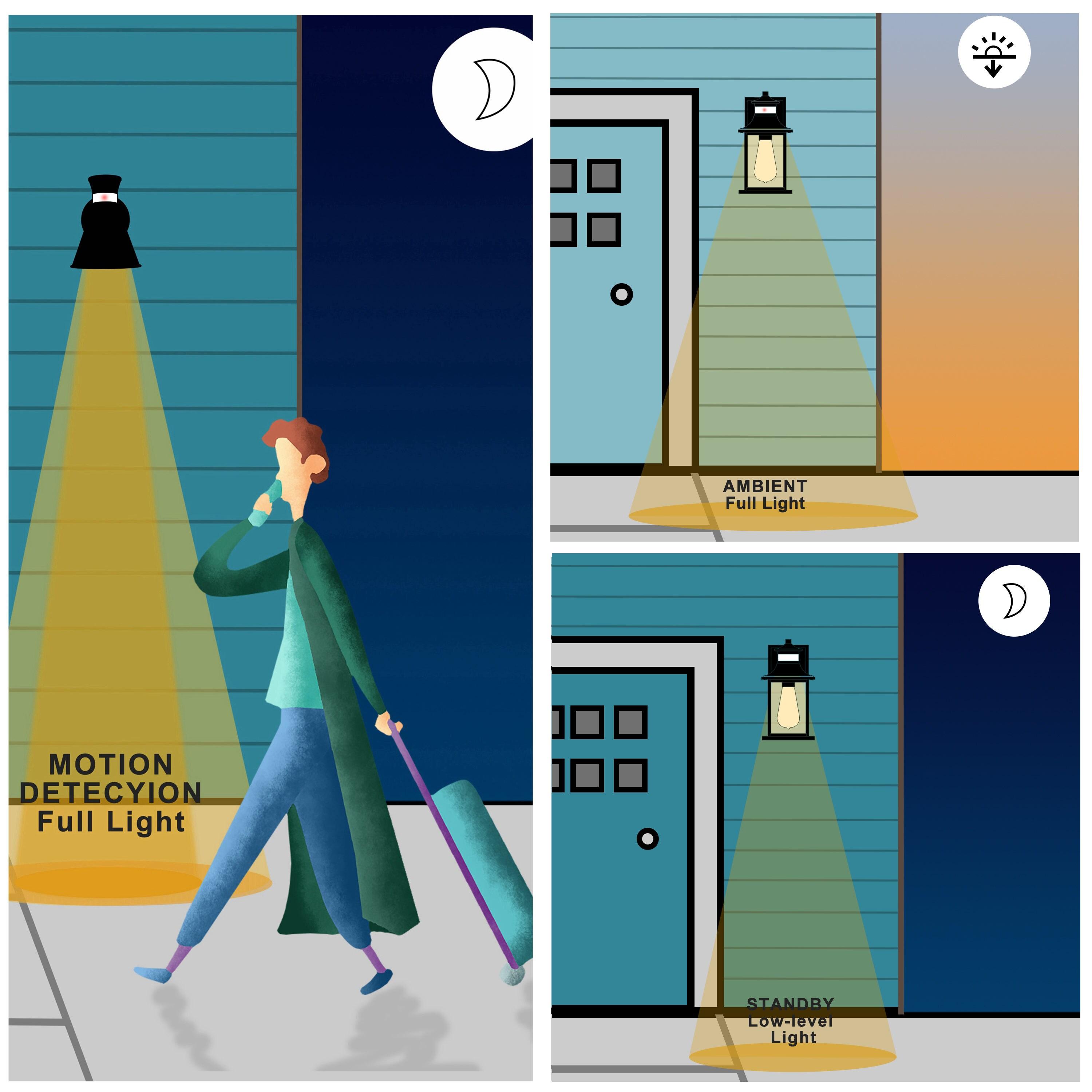 C Cattleya 2-Pack Matte Black Motion Sensing Dusk to Dawn Outdoor Wall Lights (E26)
