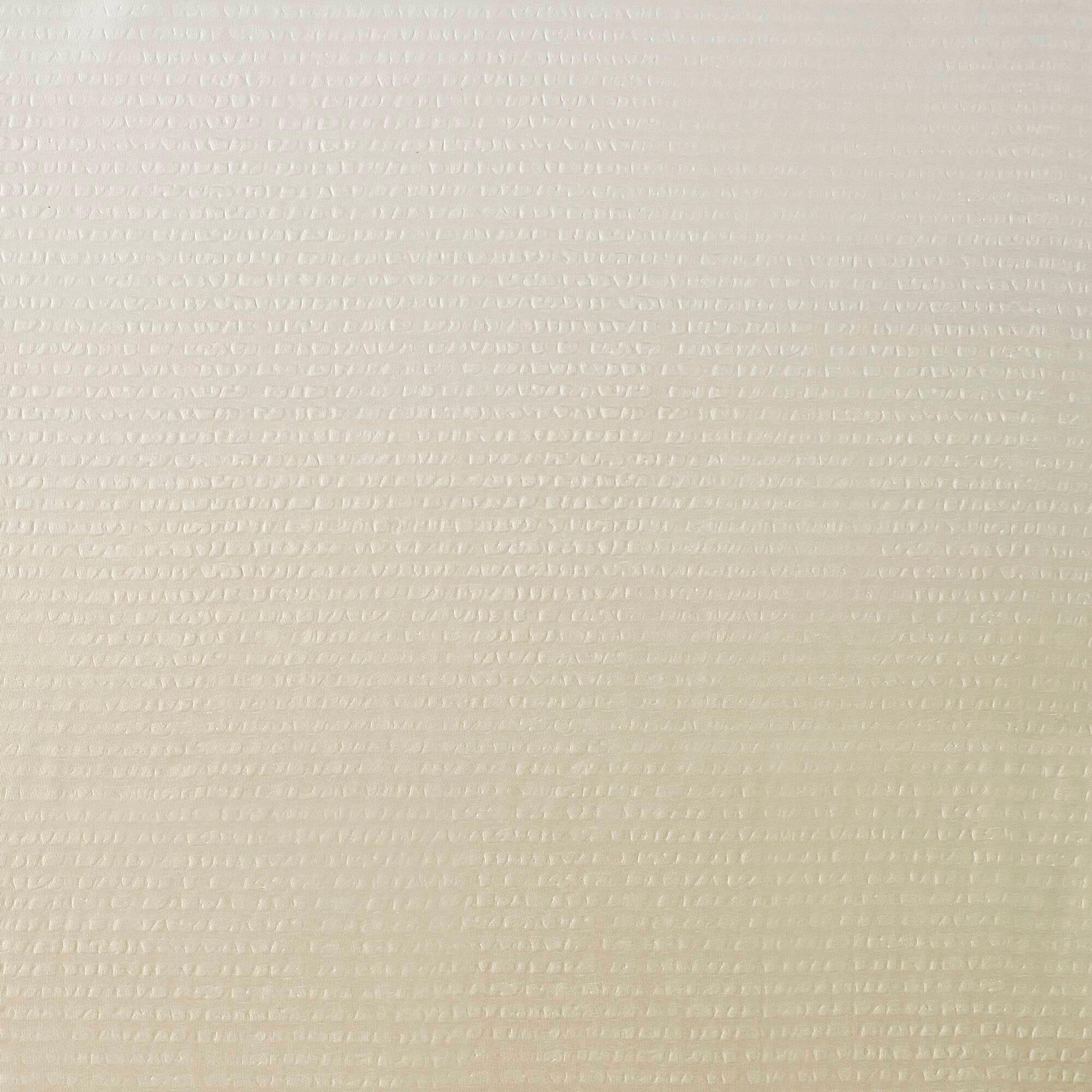 Madison Park Ara Ombre Printed Seersucker Single Shower Curtain