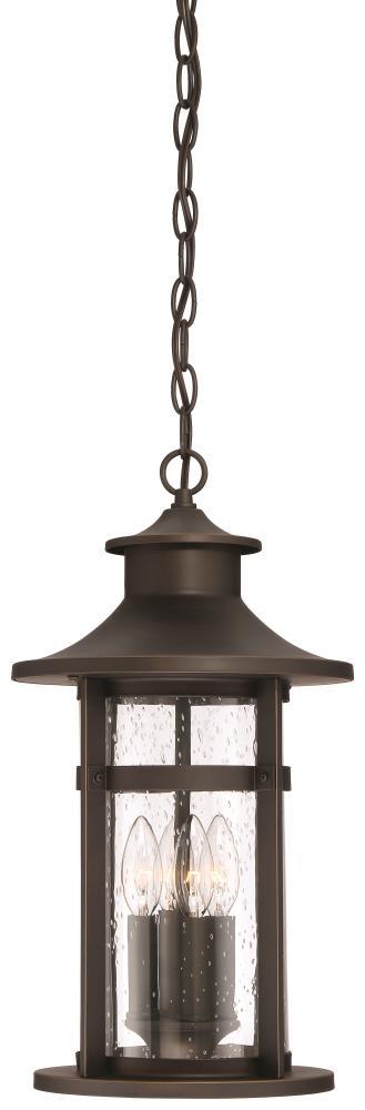 Oil Rubbed Bronze Outdoor Hanging Light with Clear Seeded Glass