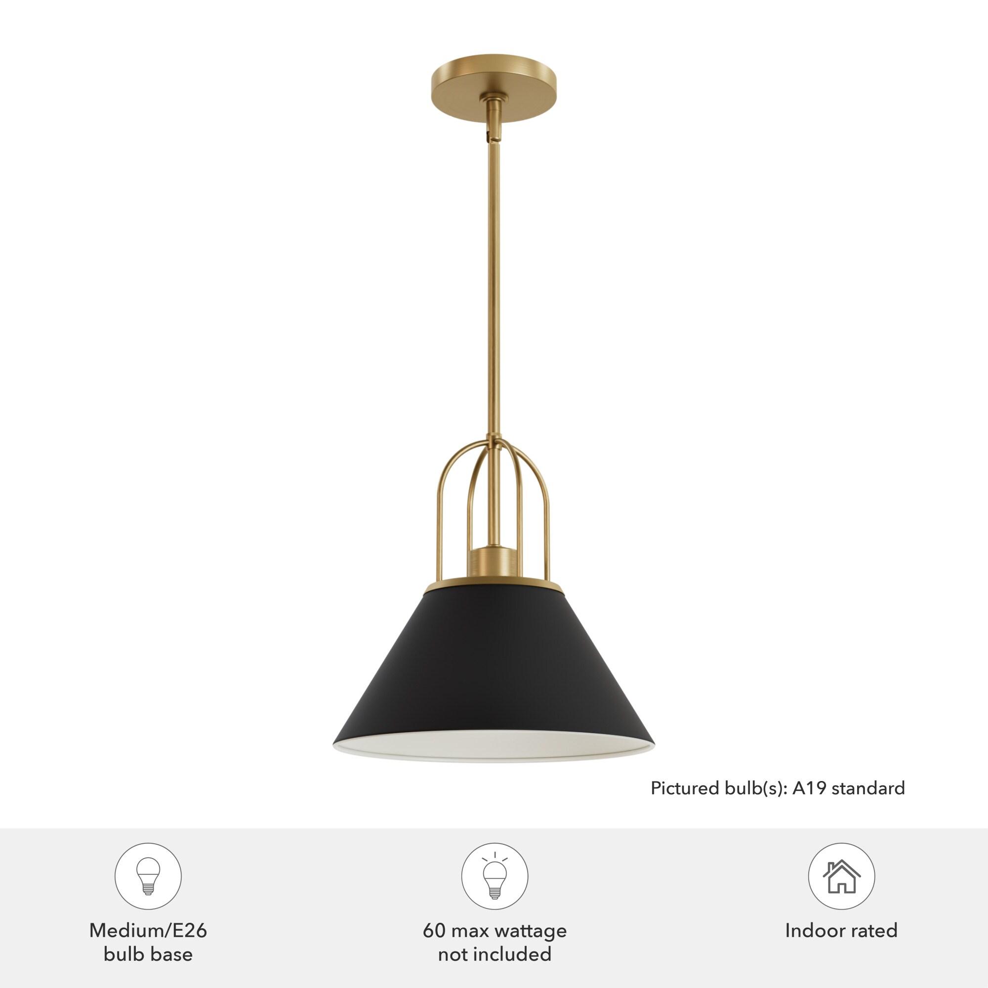 Jasmine Roth Collection + Hunter Jasmine Roth 1 - Light Flat Matte Black Cone Pendant