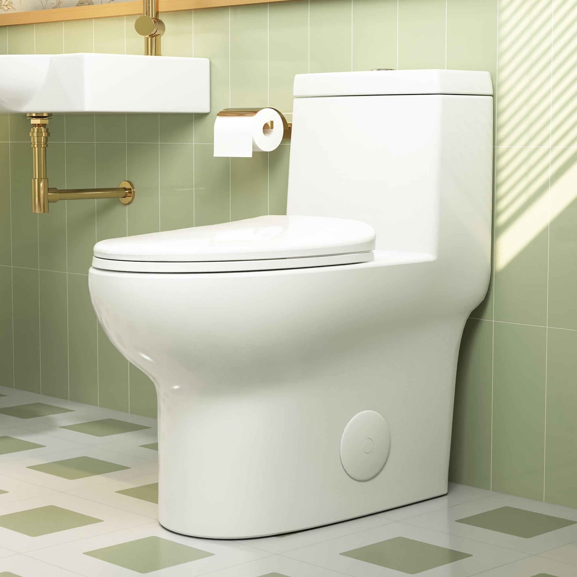 Ally Standard Bathroom Toielt, Modern Toilet with Comfort Chair Height Floor Mounted(Seat Included)