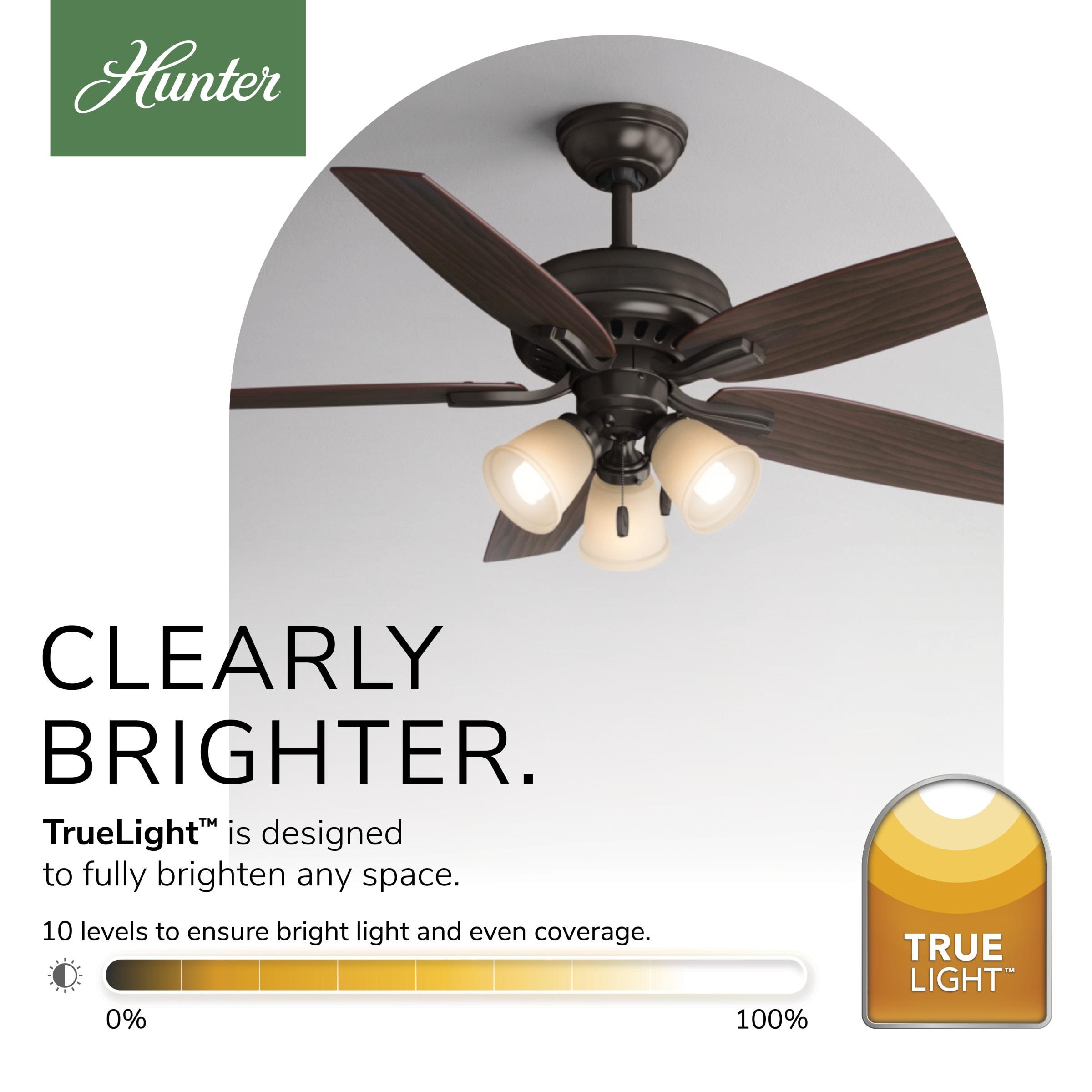 52" Newsome 5 - Blade Standard Ceiling Fan with Pull Chain and Light Kit Included