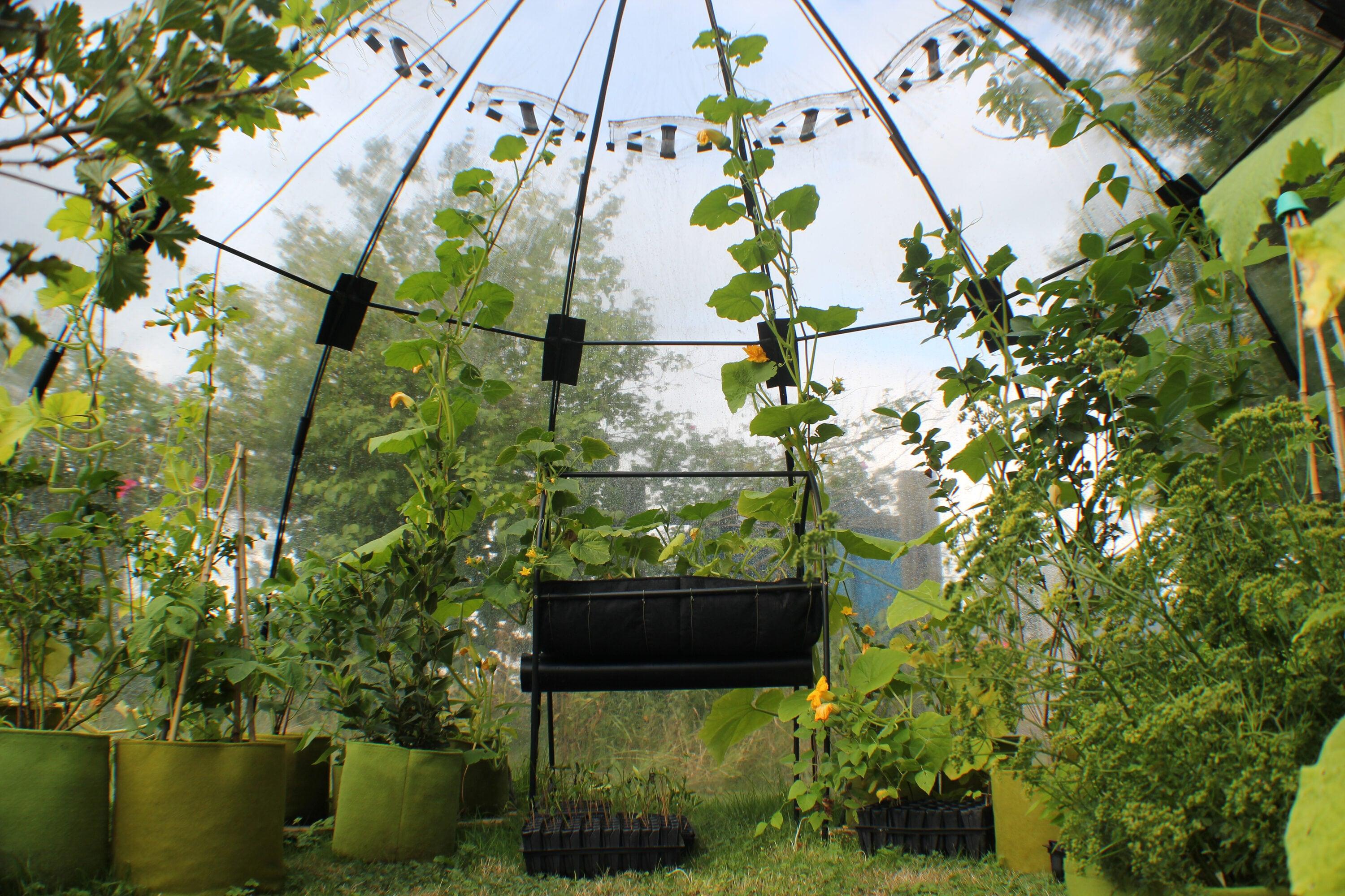 Haxnicks 11.5 Ft. W x 11.5 Ft. D Large Sunbubble Walk-in Greenhouse