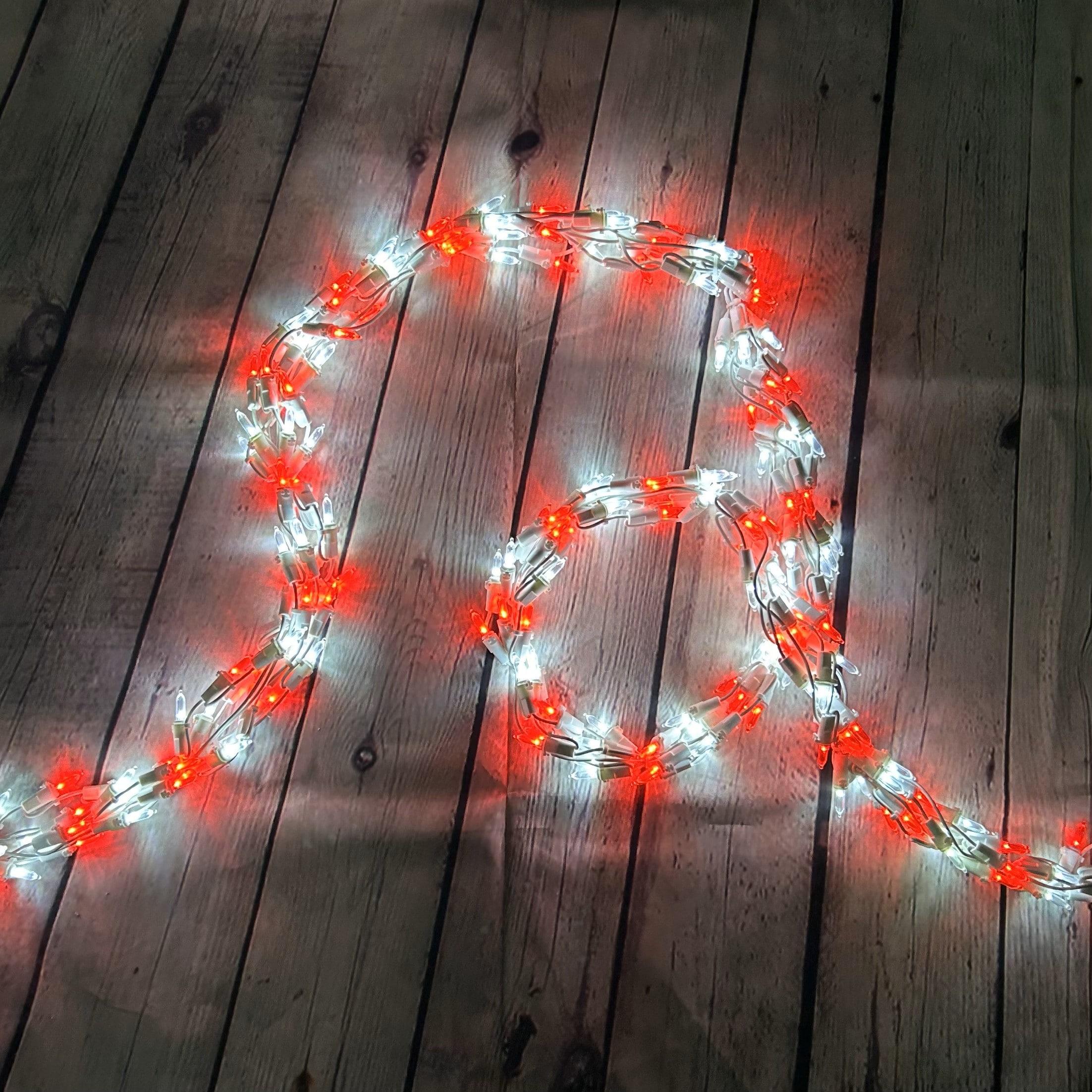 Brite Star 300 Lt Professional Series 'High Density' LED Lights of Garland