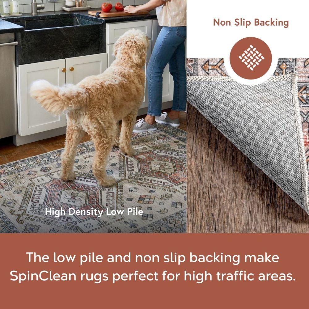 Nuloom Finley Pet Friendly Machine Washable Vintage Distressed Area Rug, 4' x 6', Beige