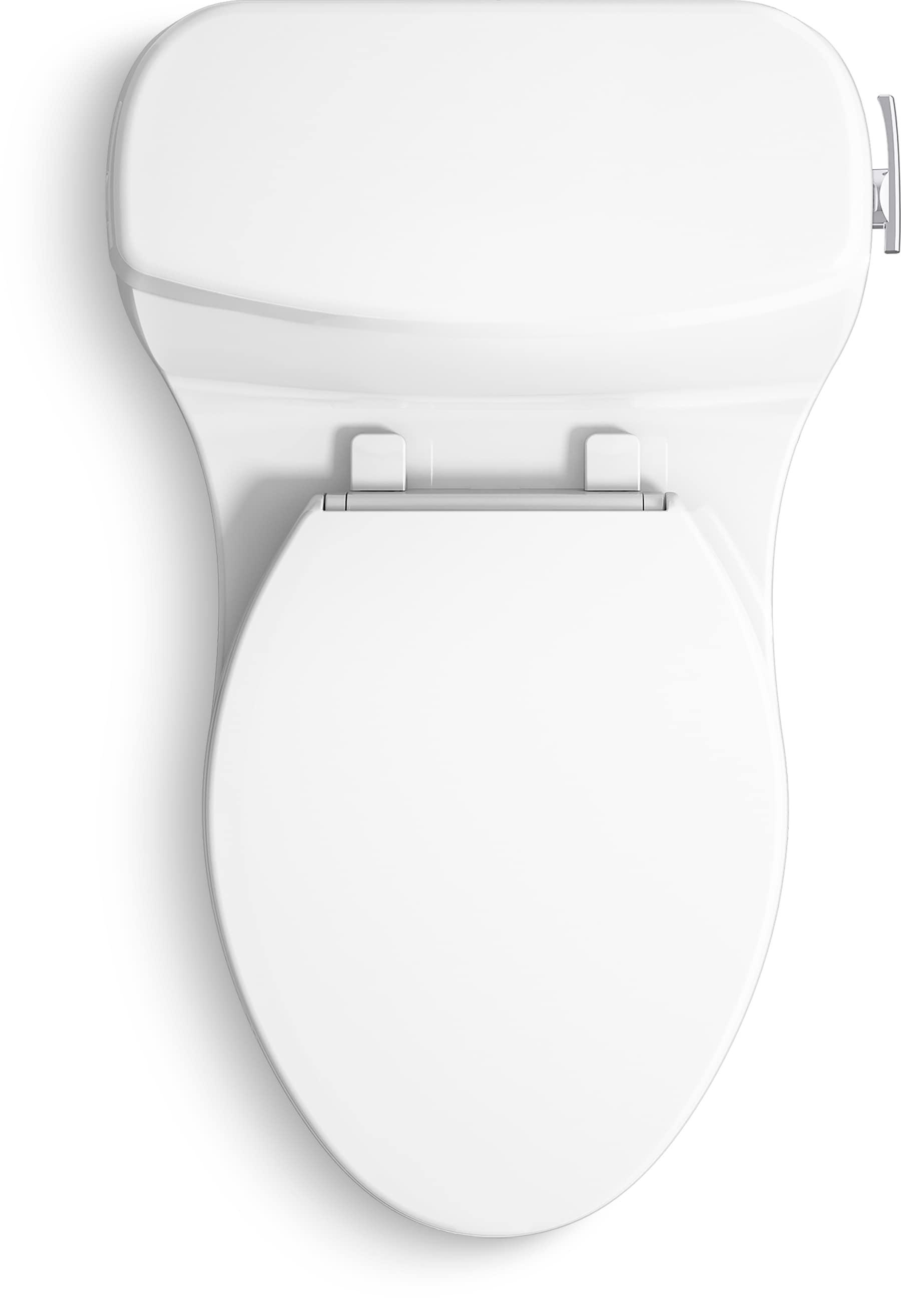 Santa Rosa One-Piece Compact Elongated 1.6 Gpf Toilet With Revolution 360 Swirl Flushing Technology