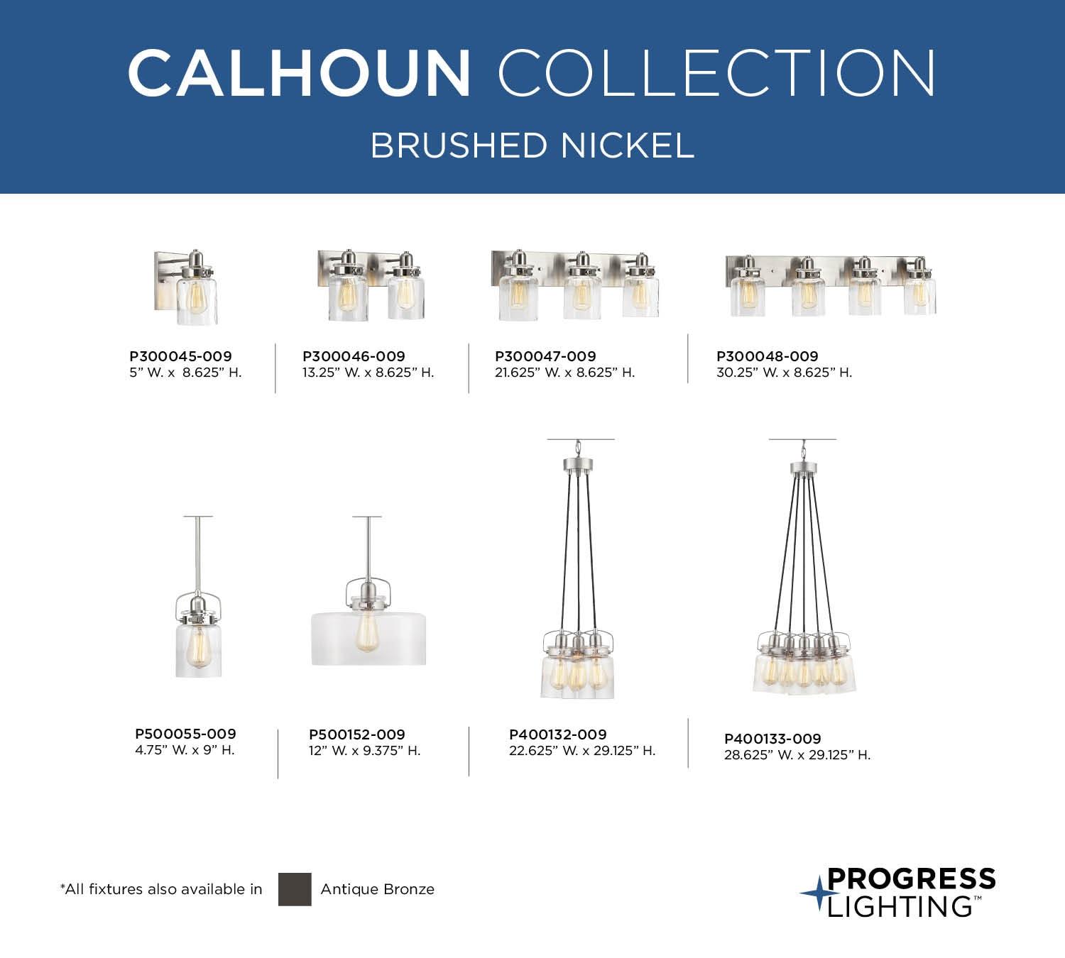 Progress Lighting Calhoun Collection 1-Light Bath & Vanity Wall Light, Brushed Nickel, Clear Glass Shade