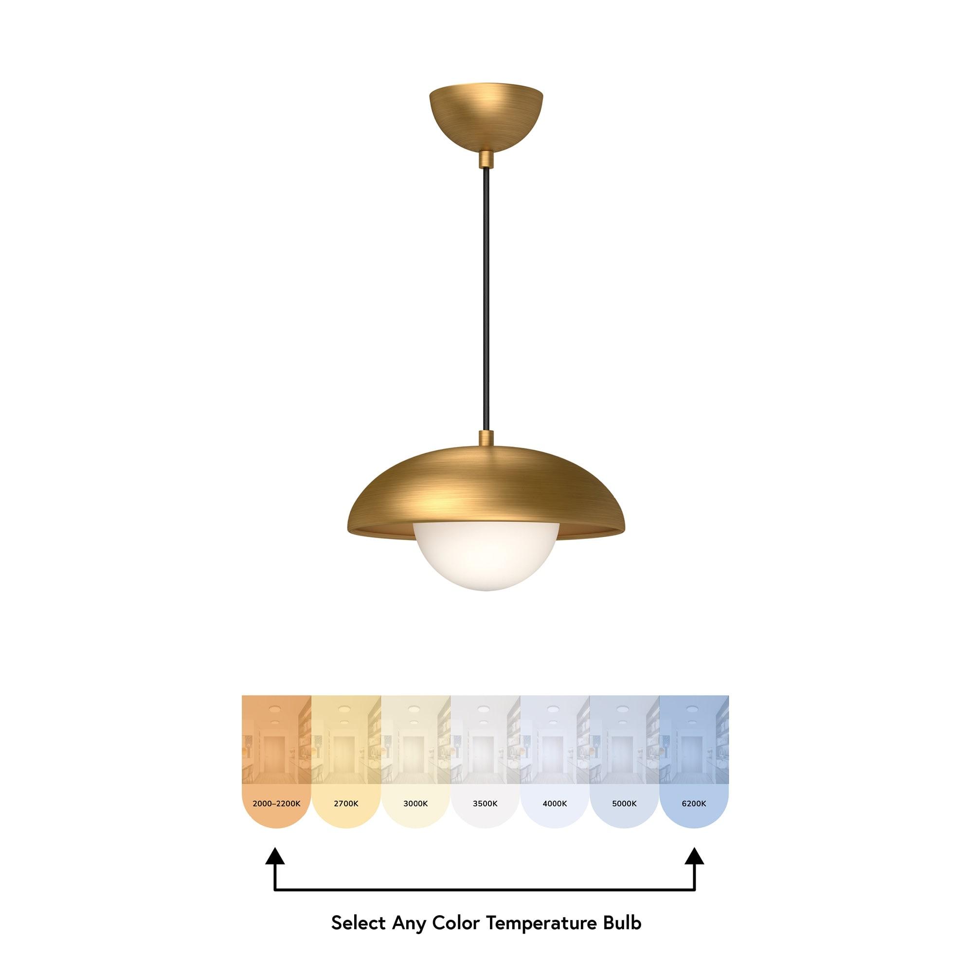 Alessia 1 - Light Unique/Statement Pendant