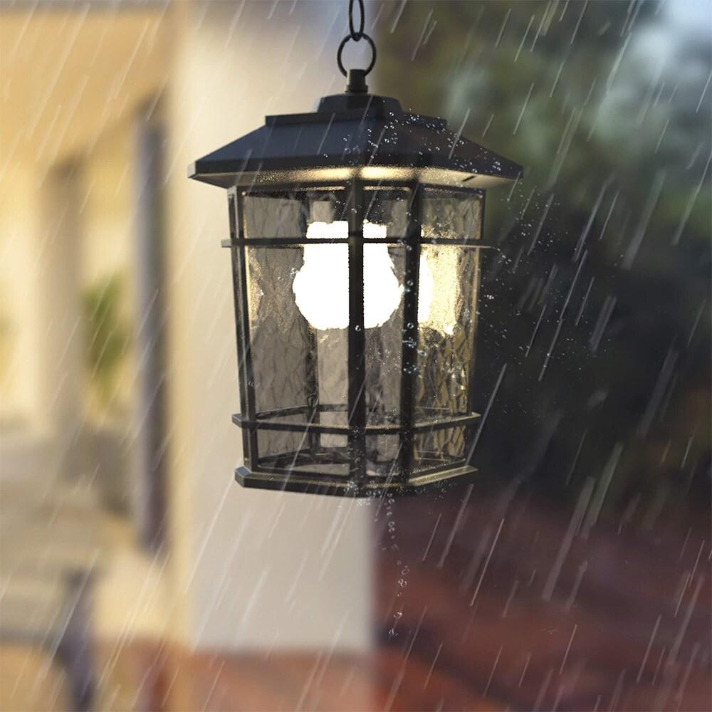 Williams 1- Light Black 14" H Glass Outdoor Hanging Lantern (Bulb Included)